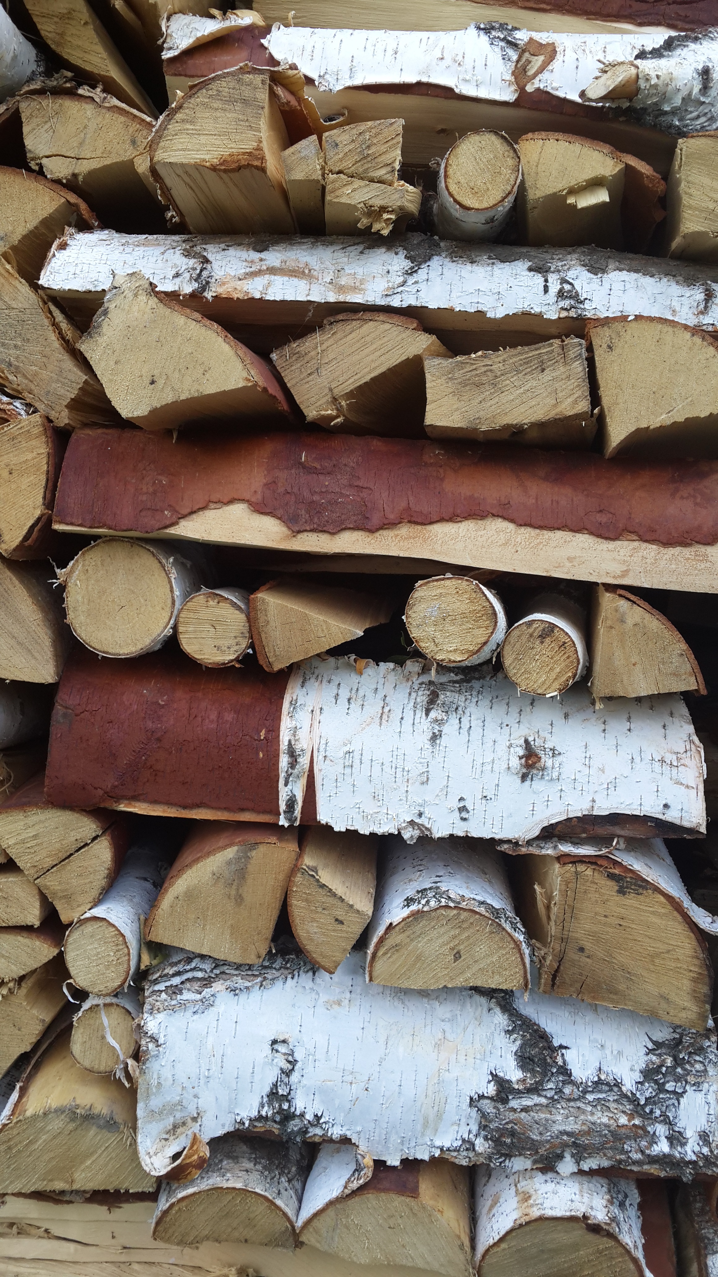 General 2322x4128 birch nature firewood