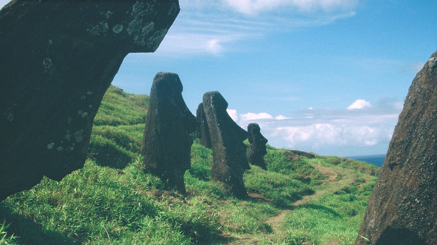 General 1839x1034 film grain nature green plants summer Moai Easter Island