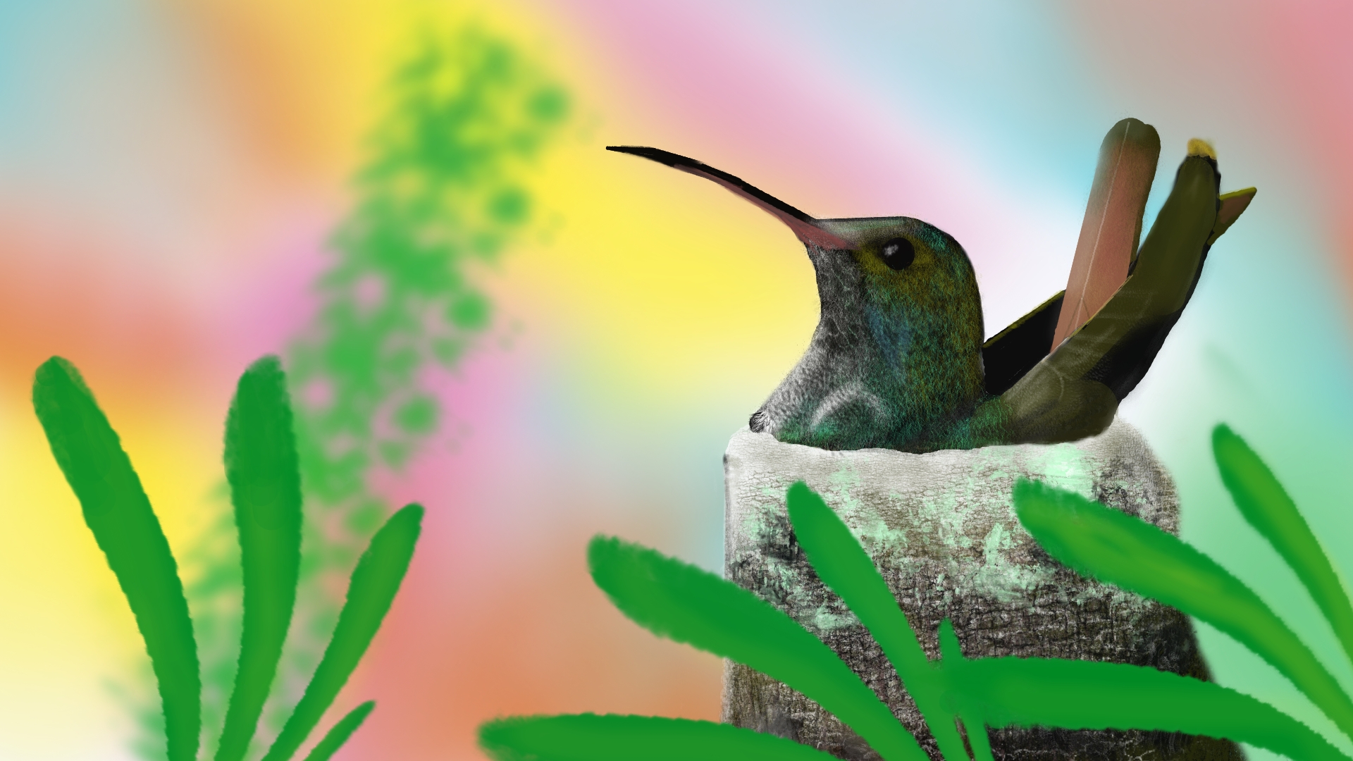 General 1920x1080 digital painting nature animals birds colorful hummingbirds