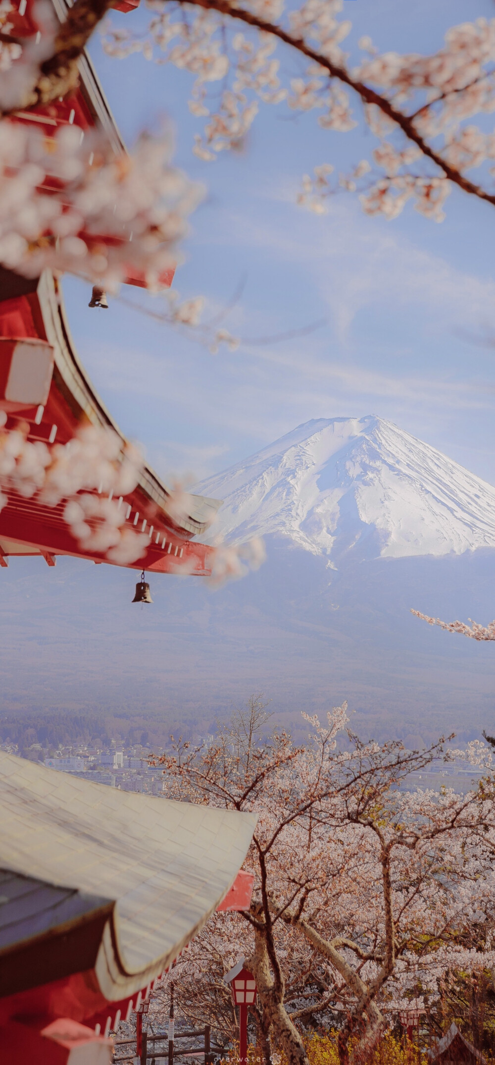 General 1000x2150 cherry blossom mountain top Japan