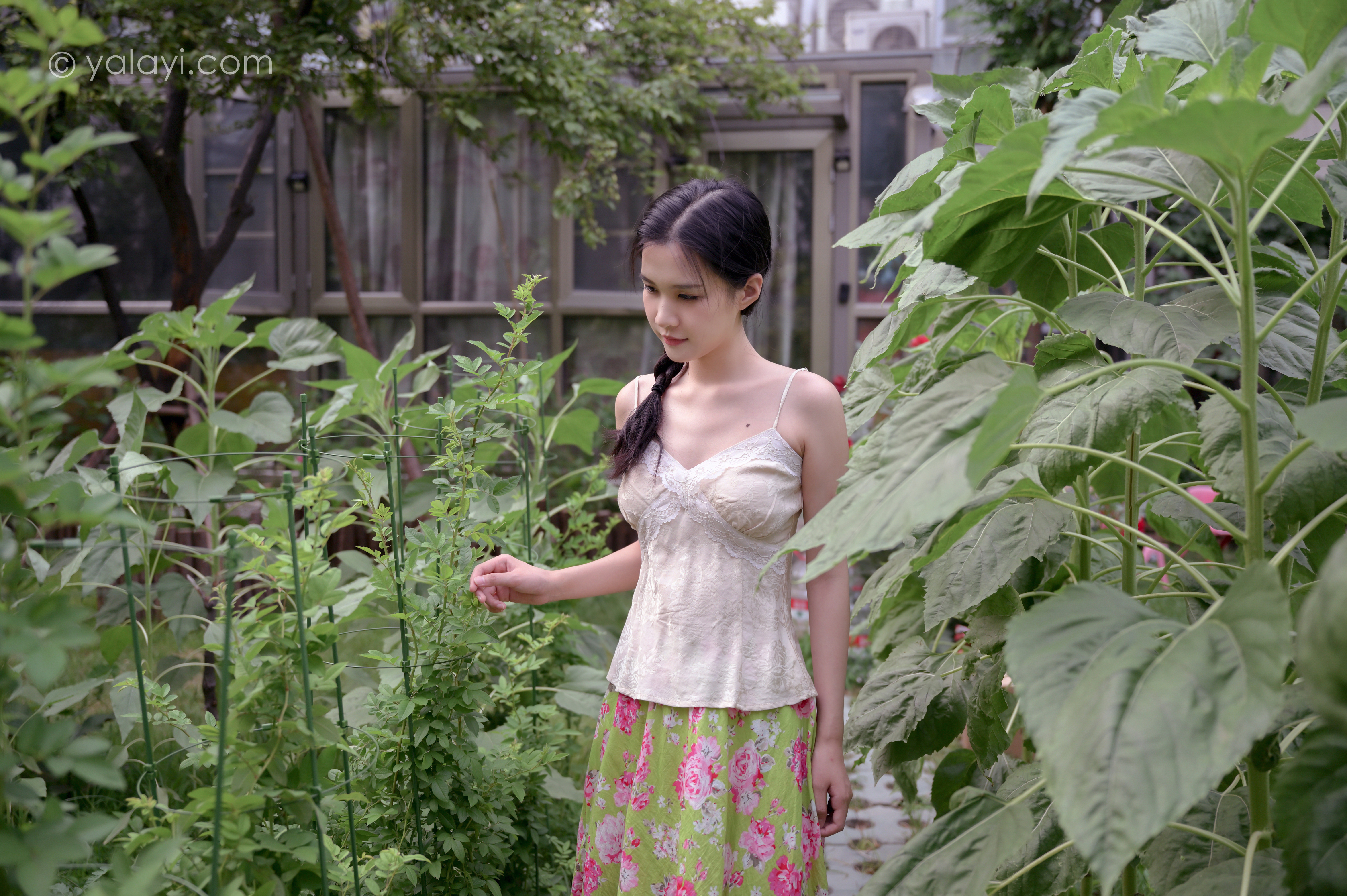 People 6048x4024 hanfu model Asian women yalayi brunette plants garden women outdoors