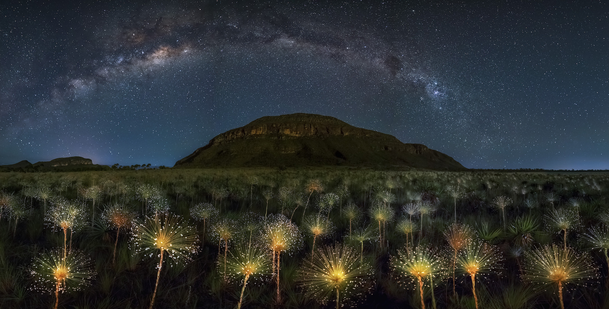 General 2000x1016 nature landscape long exposure night trees mountains stars Milky Way flowers South America