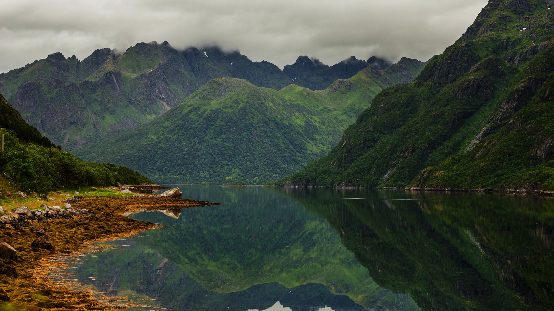General 1920x1080 nature landscape mountains forest trees river reflection mud clouds mist Monsoon Norway green