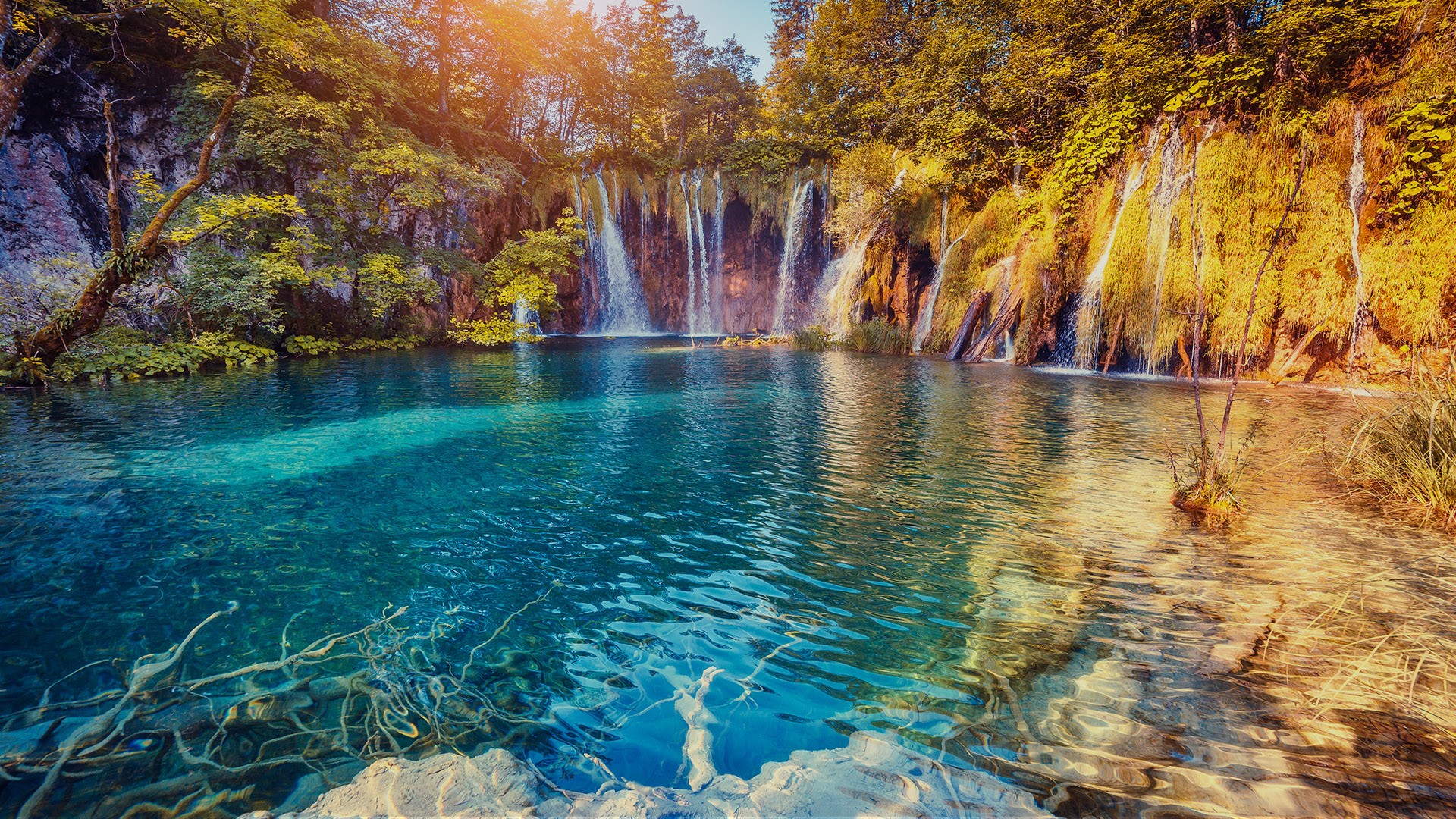 General 1920x1080 nature landscape trees water waterfall water ripples forest clear water plants Plitvice Lakes National Park rocks Croatia