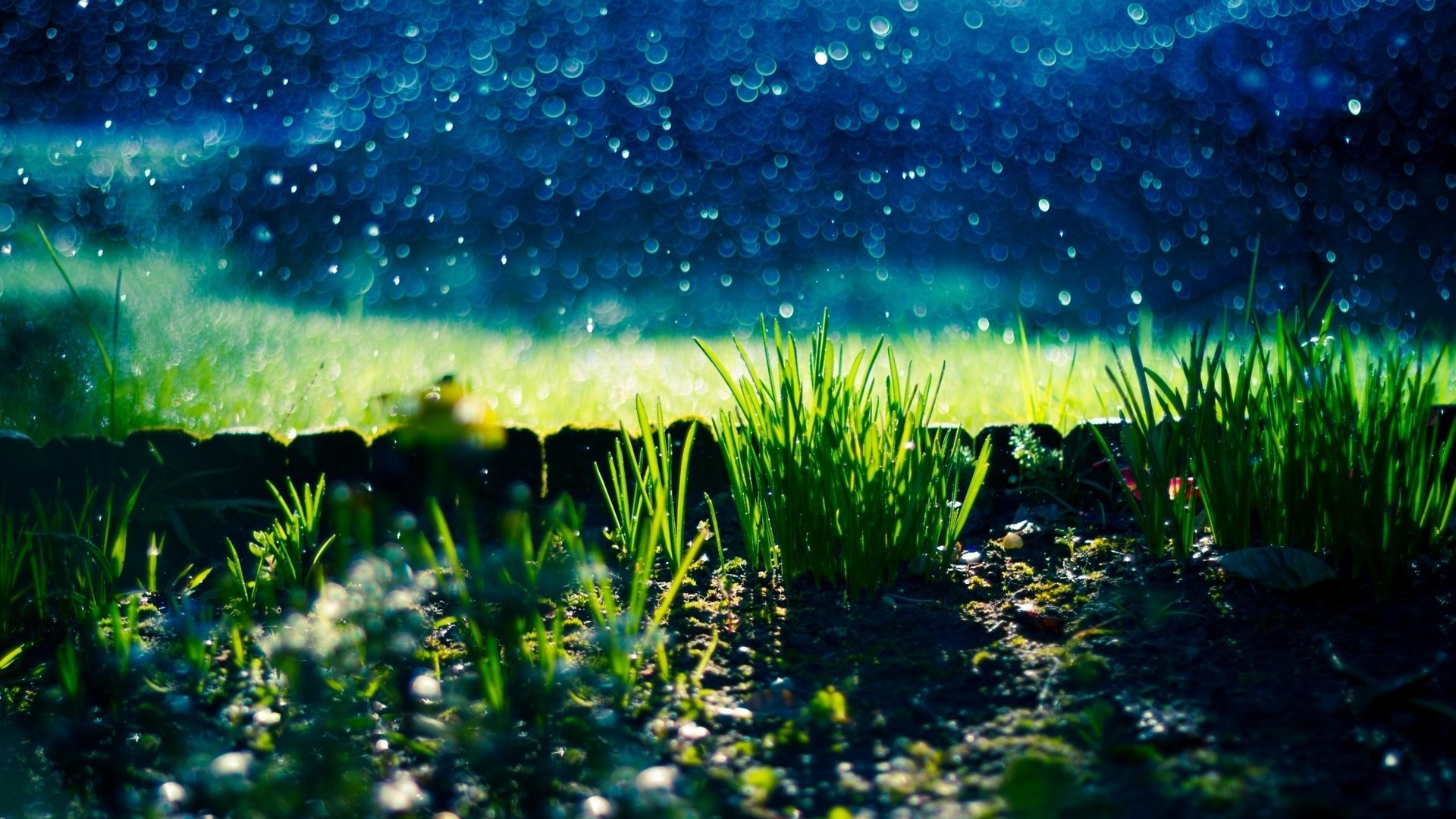 General 1920x1080 grass nature plants water drops