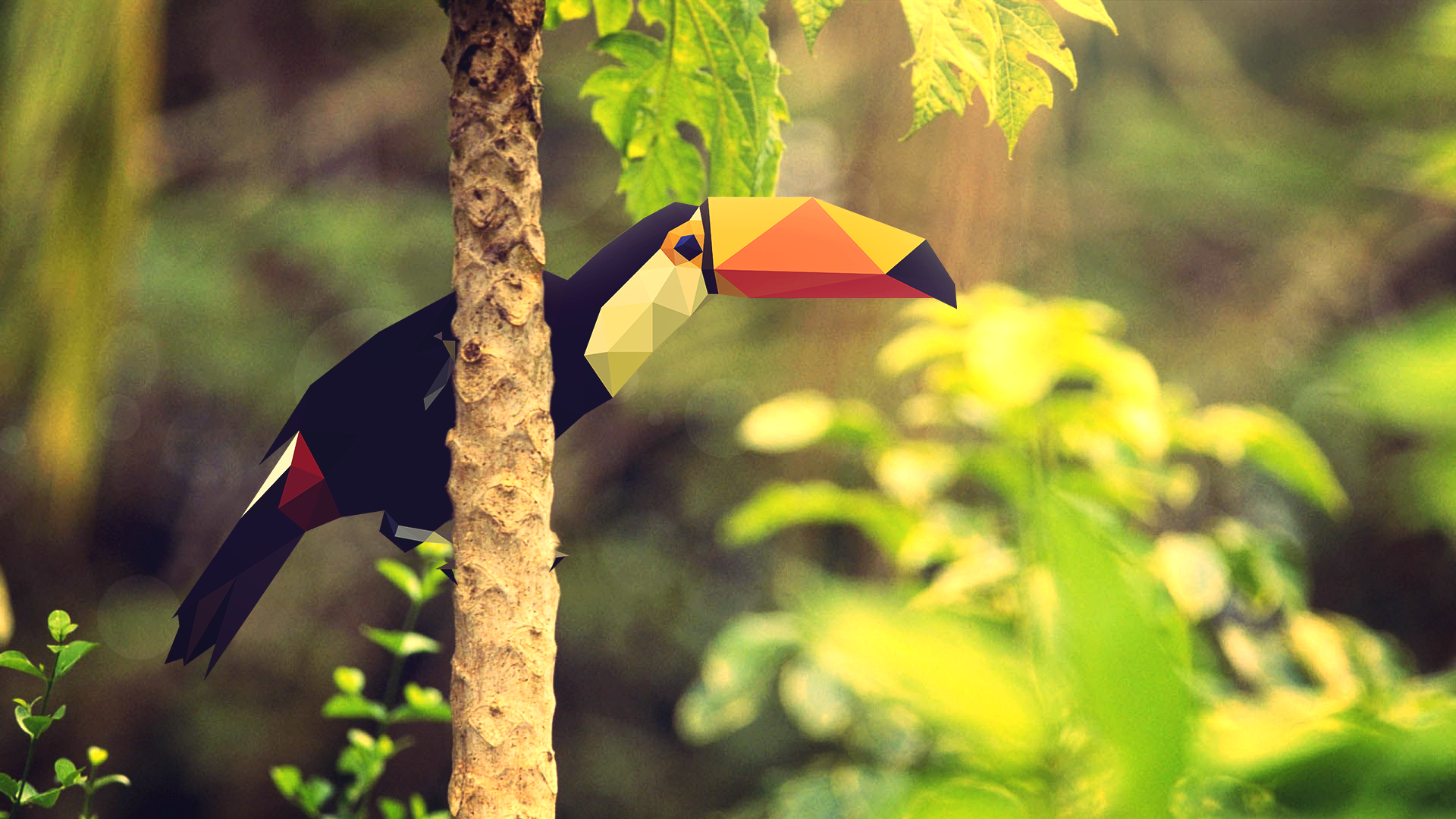 General 1920x1080 colorful low poly toucans digital art birds animals