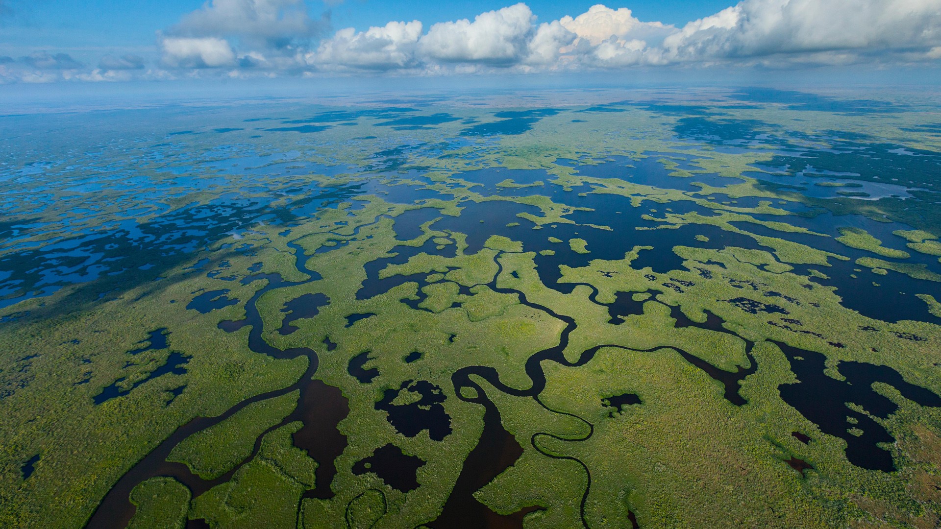 General 1920x1080 aerial view drone photo landscape nature wetland Everglades National Park Florida USA forest clouds horizon