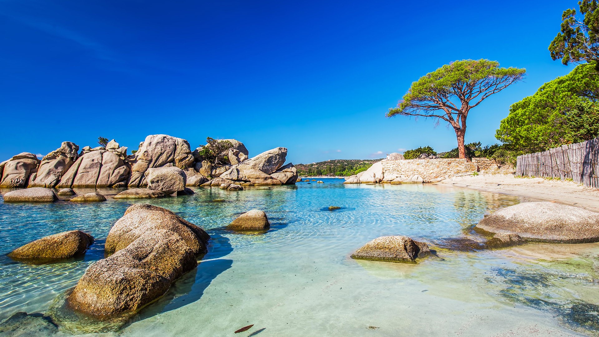 General 1920x1080 nature landscape rocks water water ripples clear sky pine trees trees Corsica France