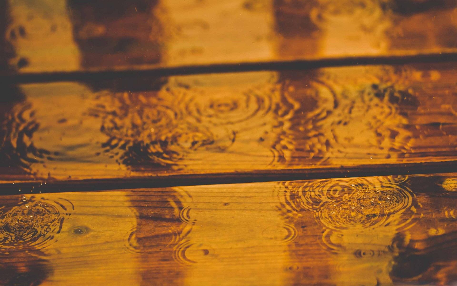 General 1920x1200 water rain water drops wooden surface closeup