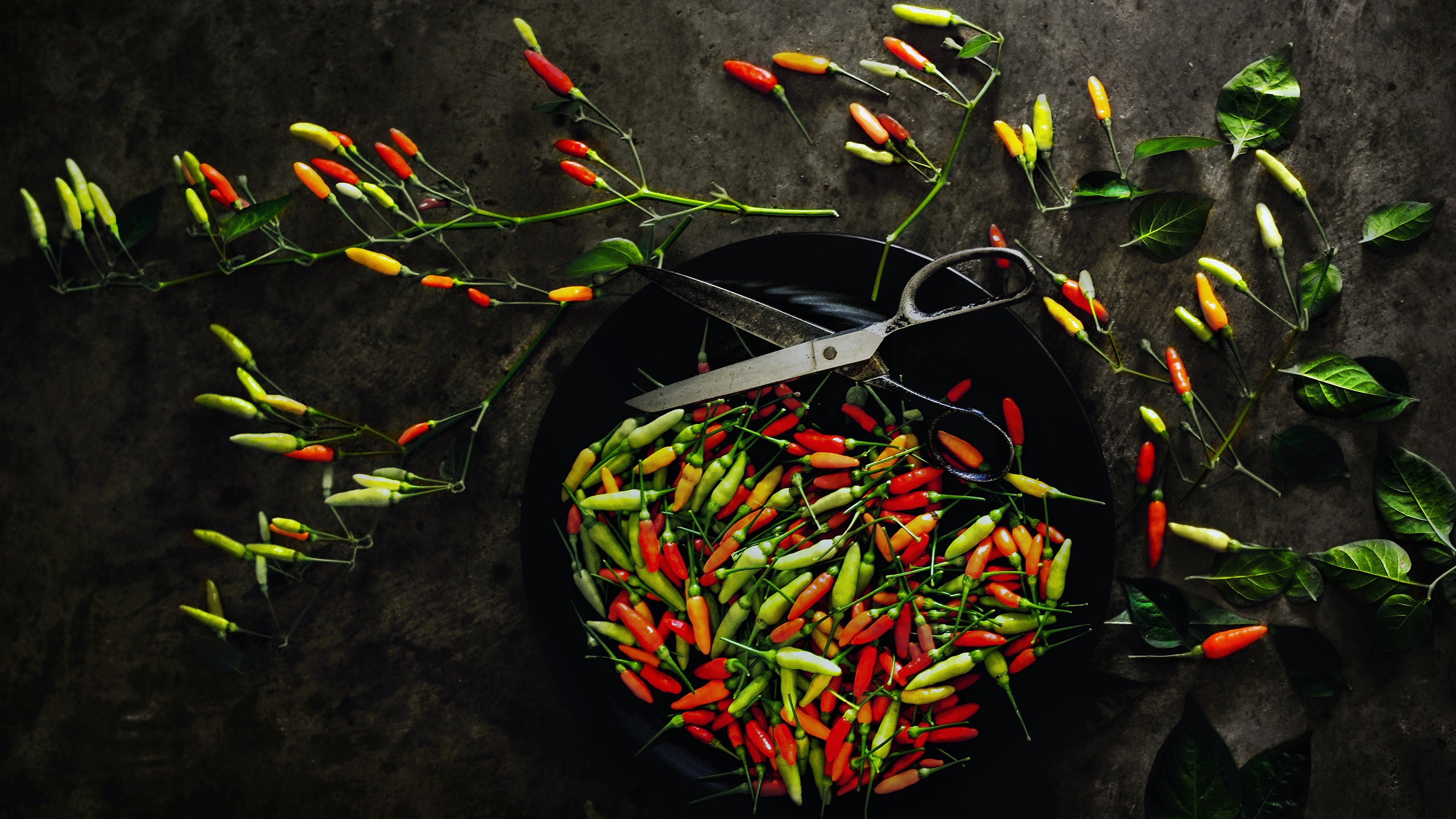 General 2560x1440 food scissors vegetables pepper chilli peppers closeup