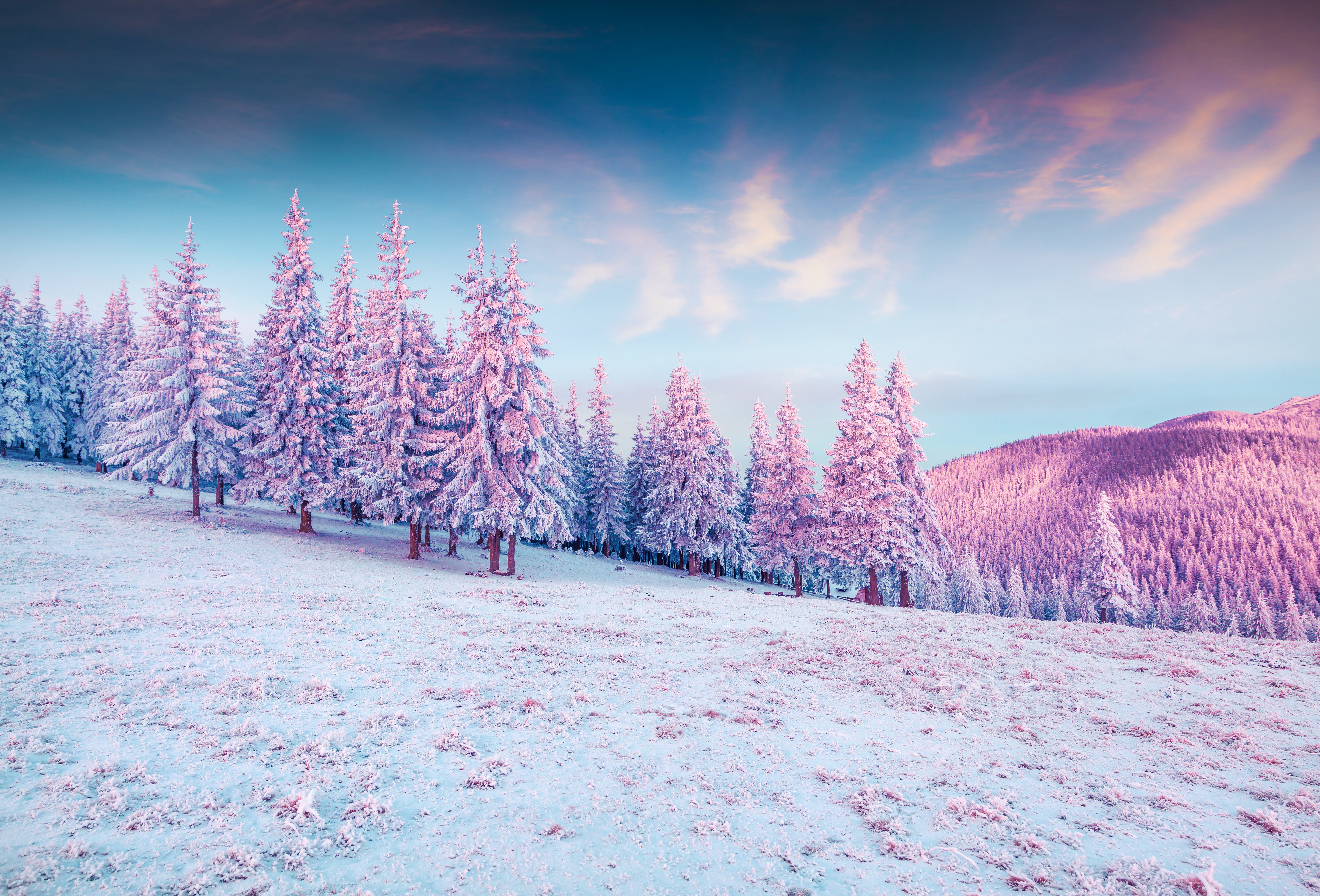 General 5891x4000 winter fir nature landscape hills mountains snow sky forest trees pink white cold colorful clouds sunlight