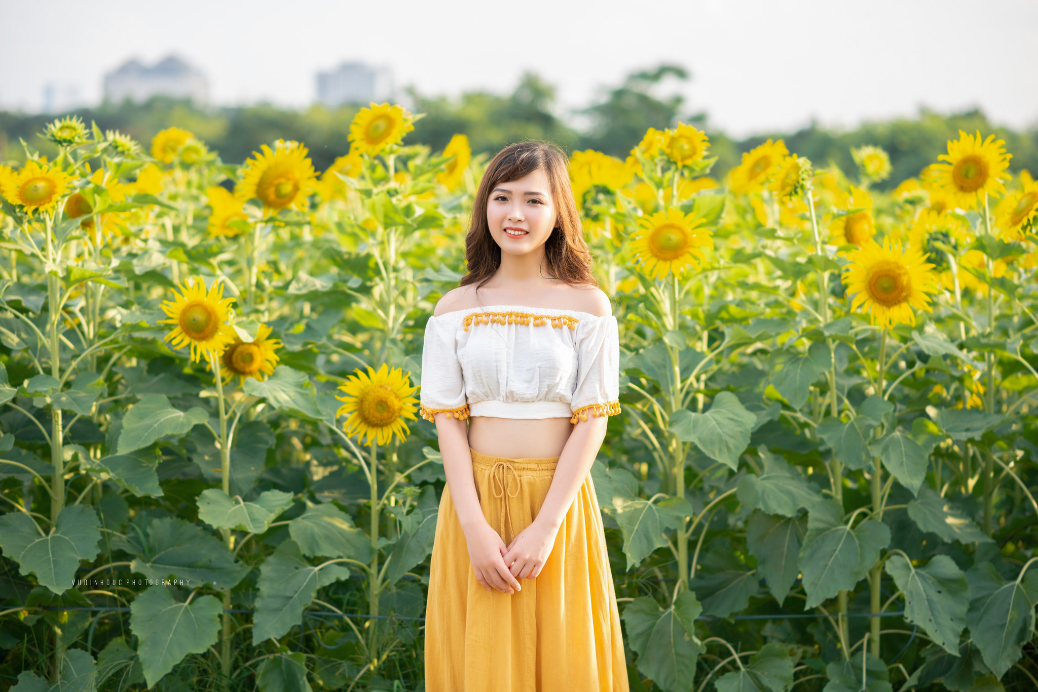 People 2048x1367 women Vietnamese Asian depth of field yellow dress sunflowers model brunette bare midriff women outdoors