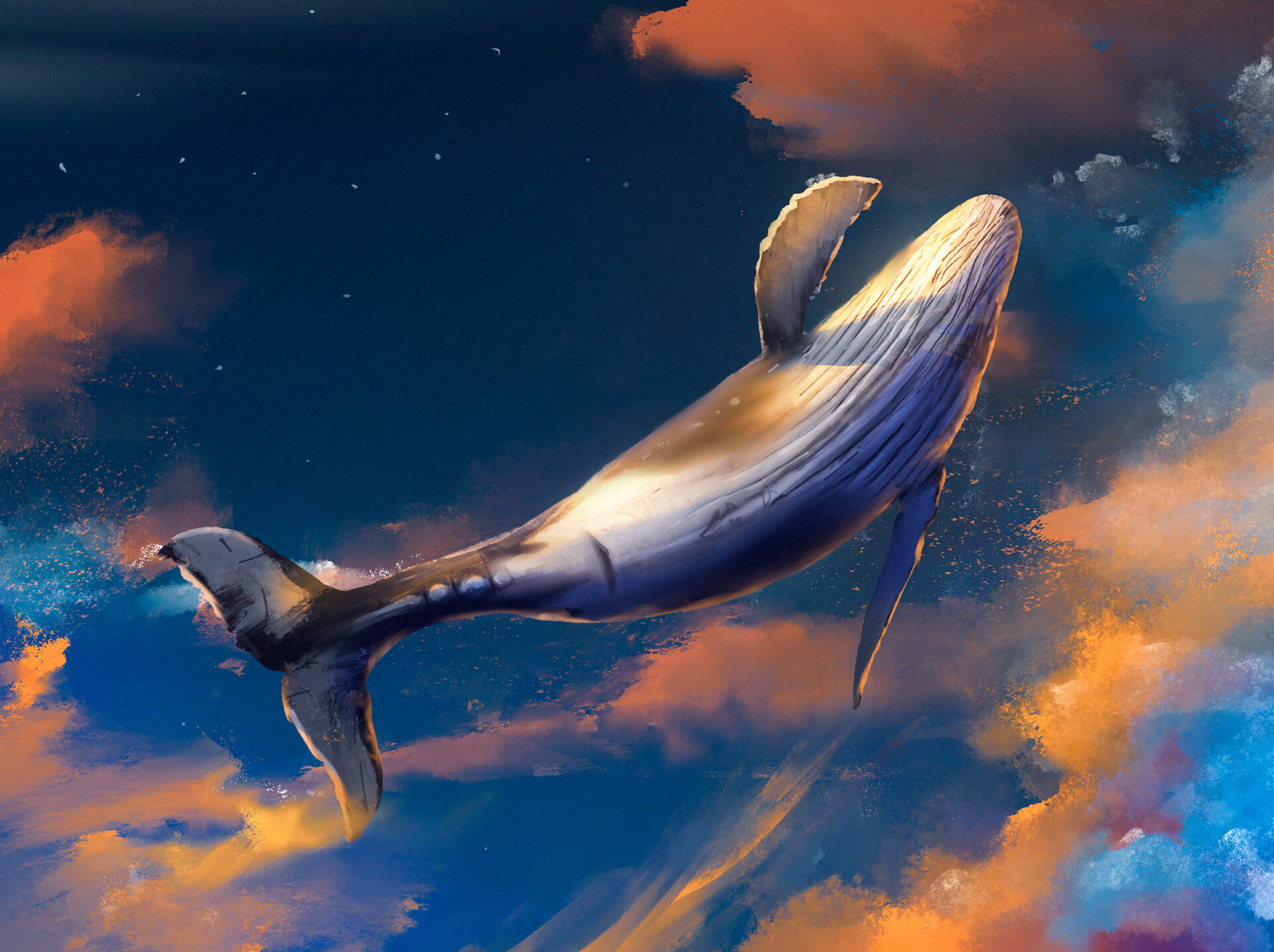 General 1920x1435 artwork fantasy art whale