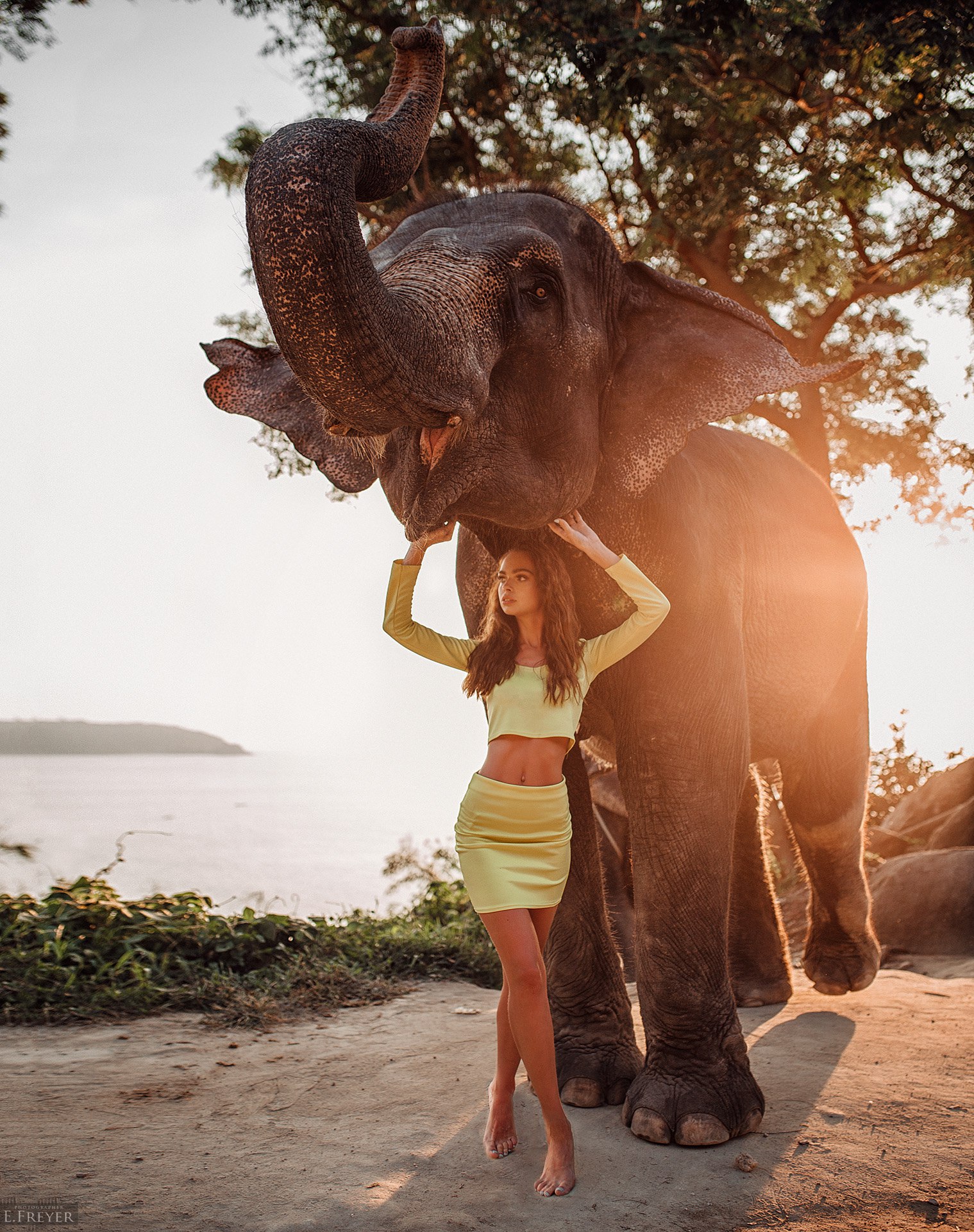 People 1519x1920 elephant Evgeny Freyer animals women model yellow clothing pointed toes