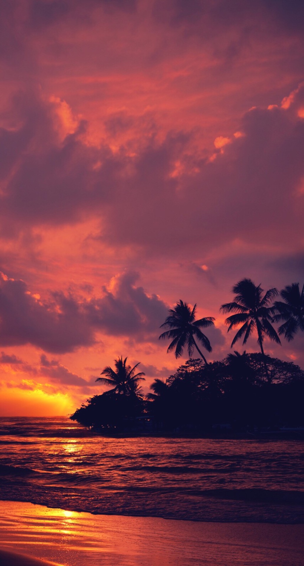 General 1032x1920 nature landscape water clouds trees beach sunset portrait display palm trees