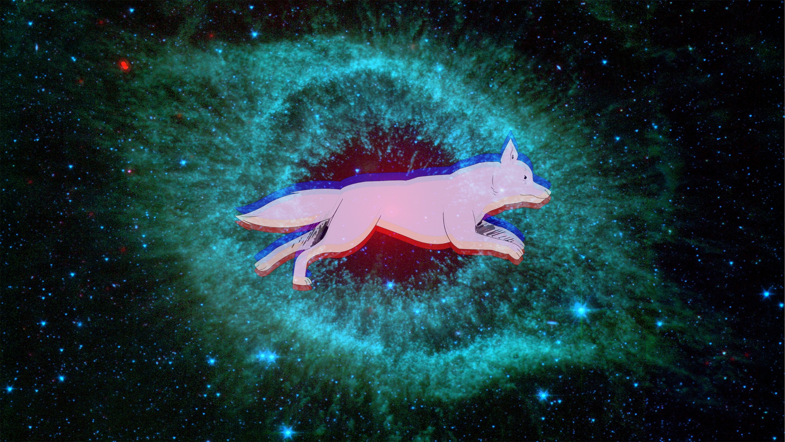 General 2560x1441 space dog Helix Nebula
