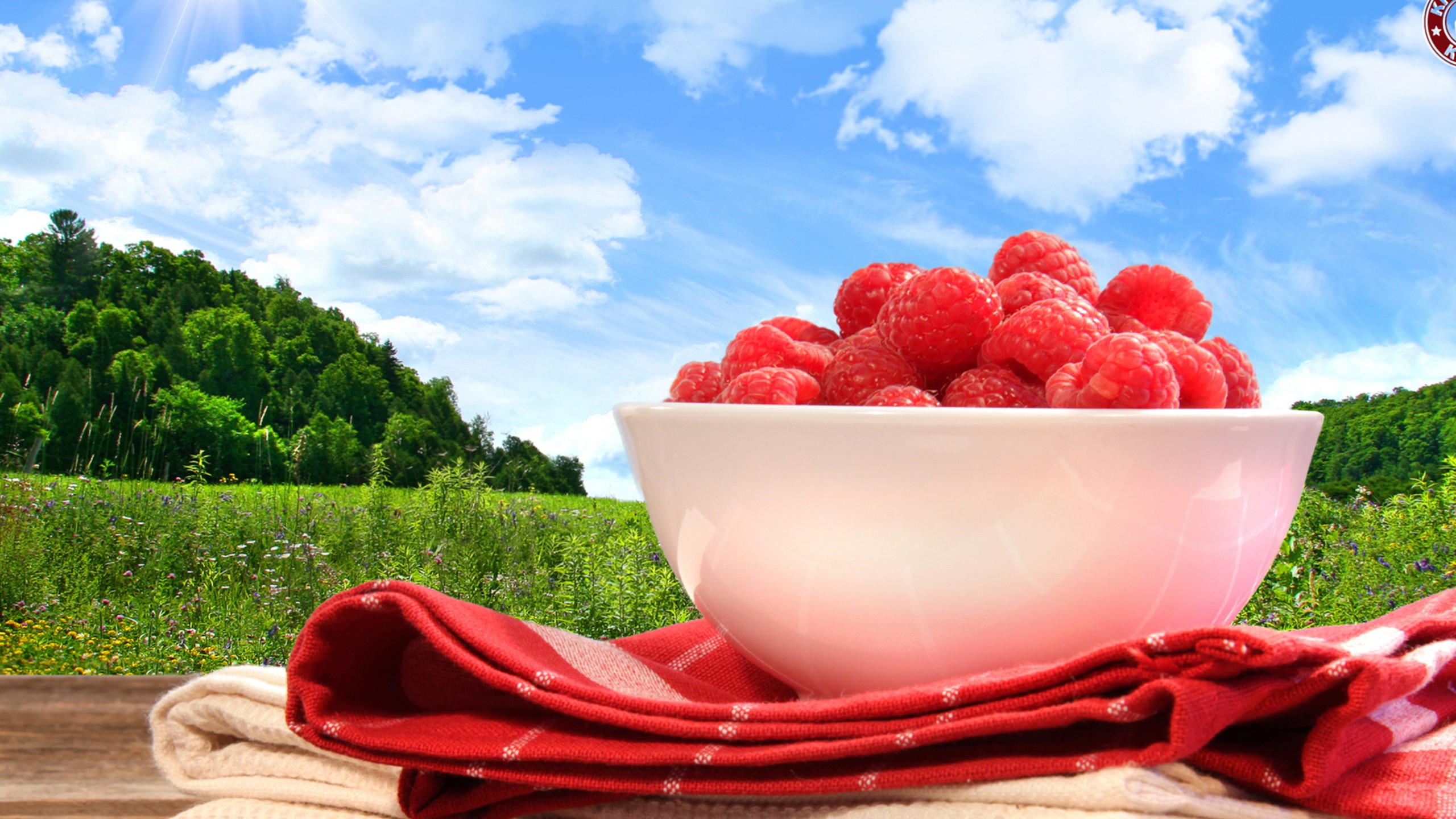 General 2560x1440 food bowls fruit berries outdoors