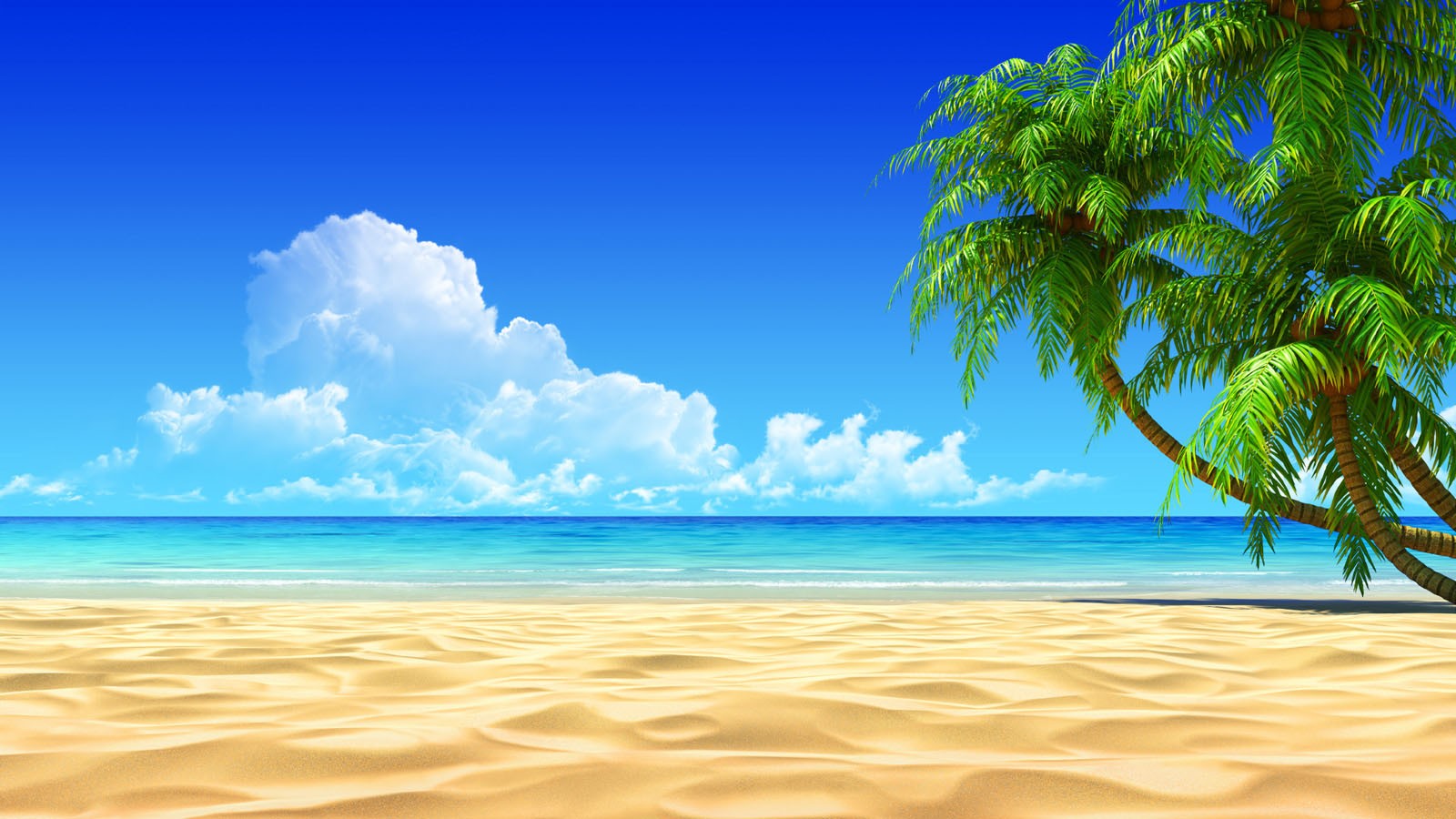 General 1600x900 beach sand palm trees clouds