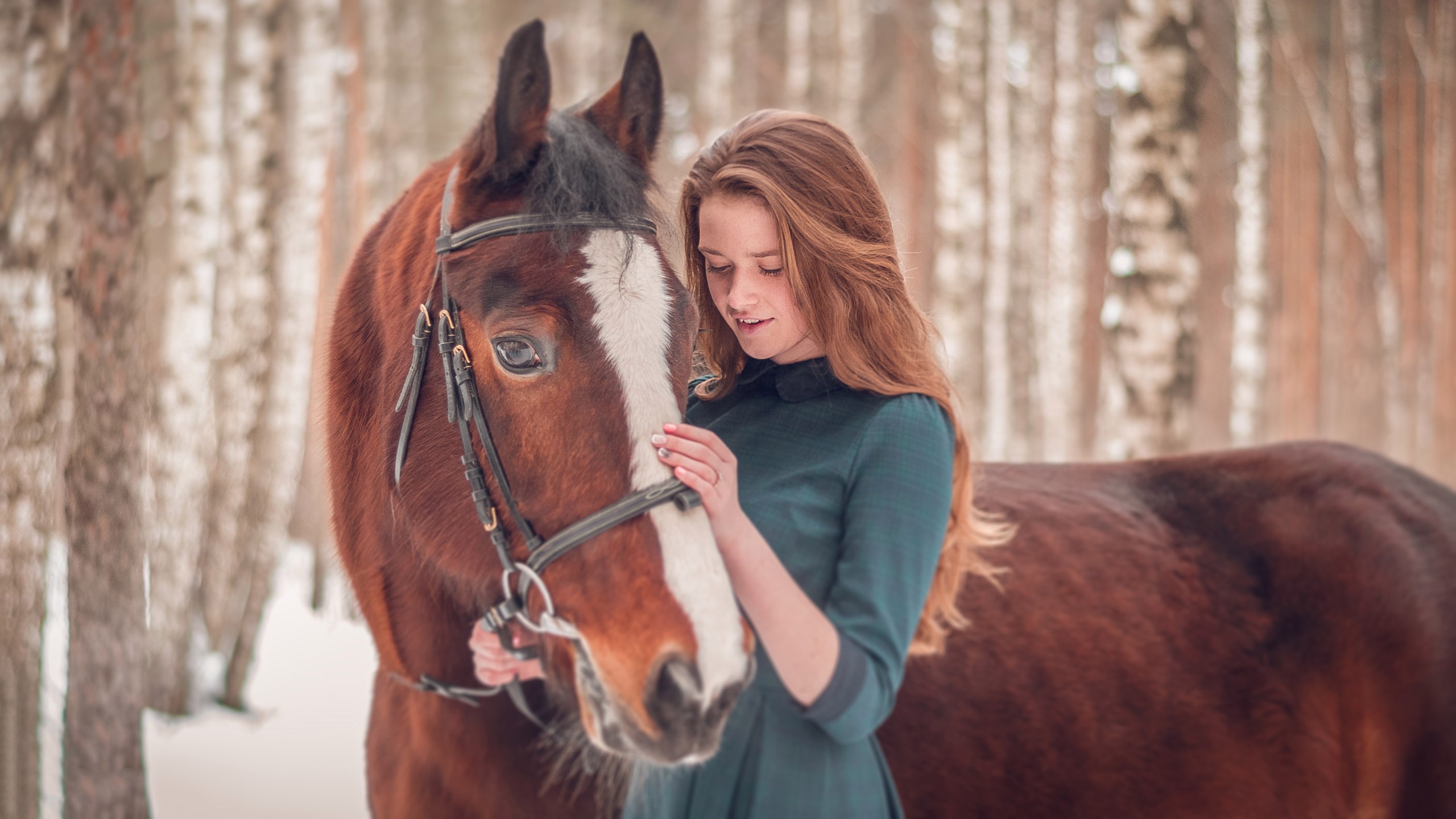 People 2560x1440 horse women women outdoors Artemy Mostovoy women with horse