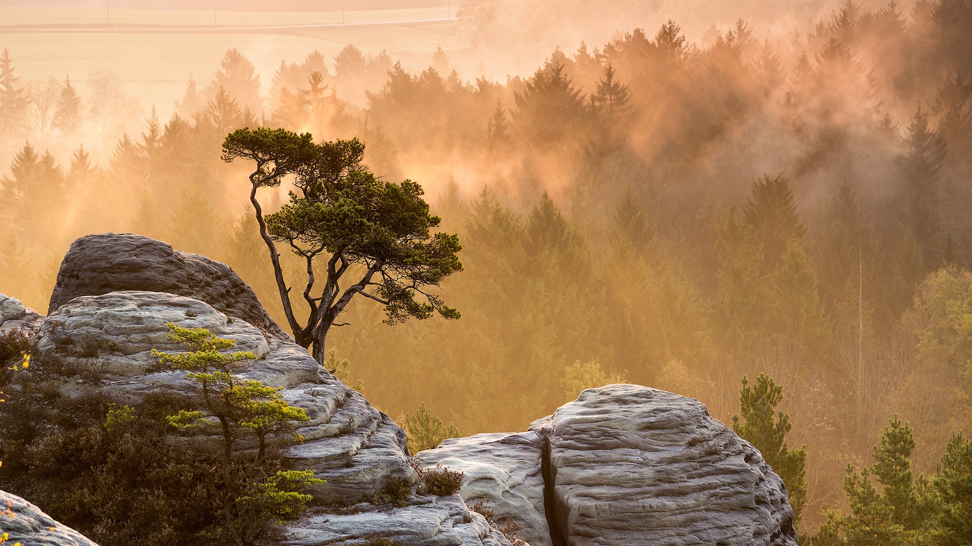 General 1920x1080 nature landscape mountains trees rocks mist forest sunset sun rays