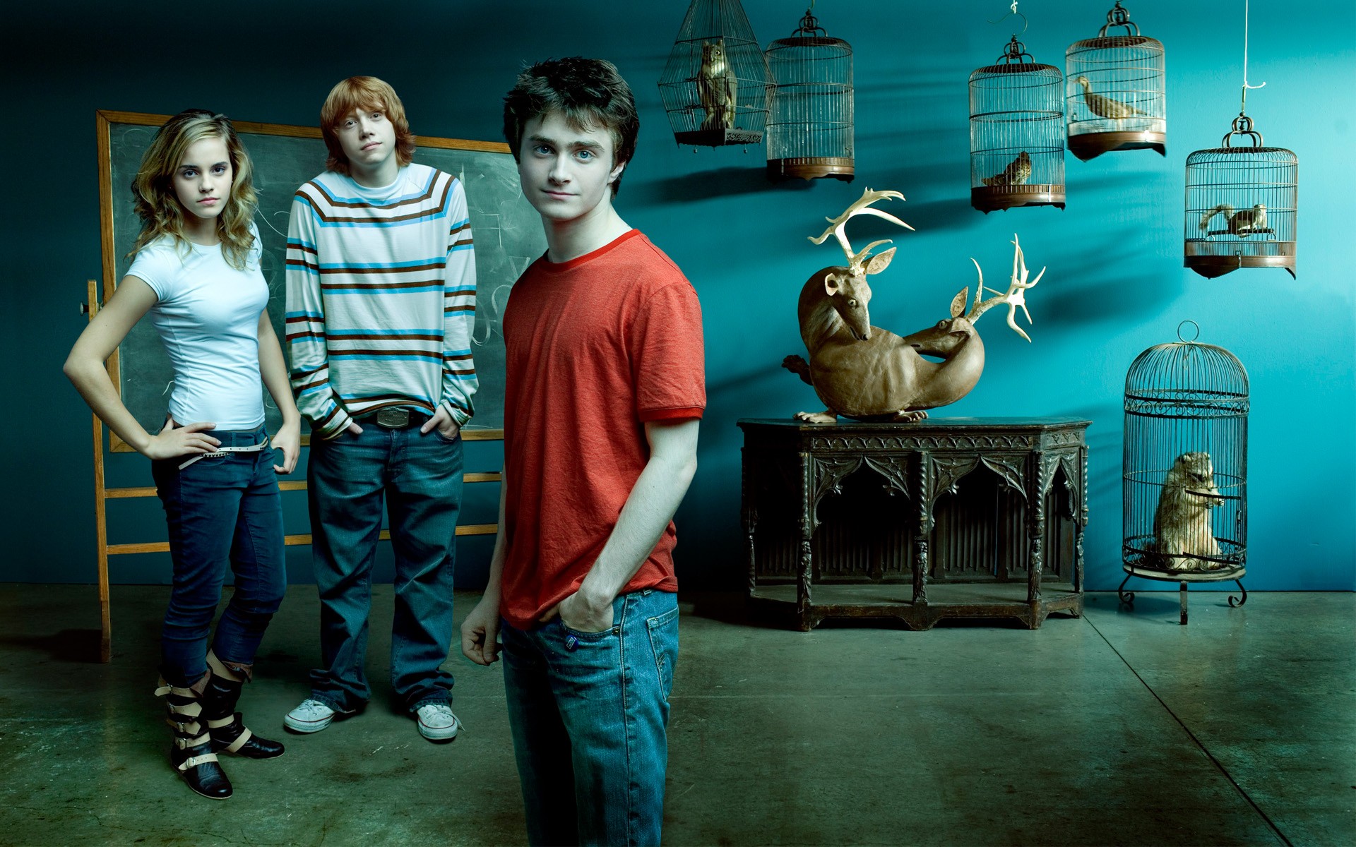 People 1920x1200 Harry Potter Emma Watson Daniel Radcliffe movies looking at viewer