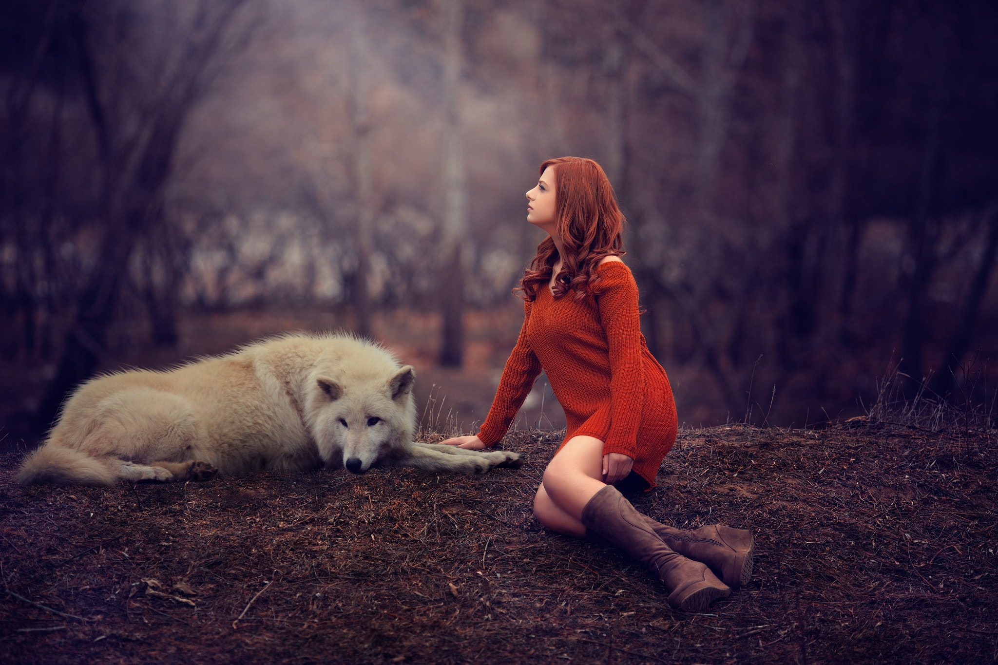 People 2048x1365 women animals wolf redhead women outdoors photoshopped forest