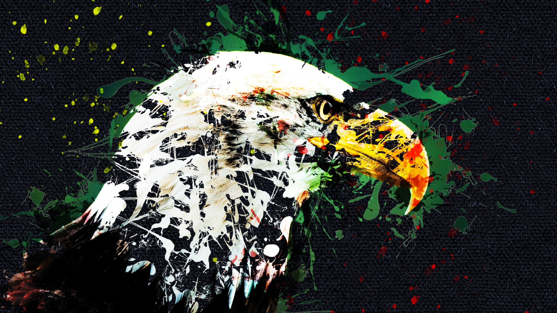 General 1920x1080 animals birds eagle digital art artwork paint splatter canvas