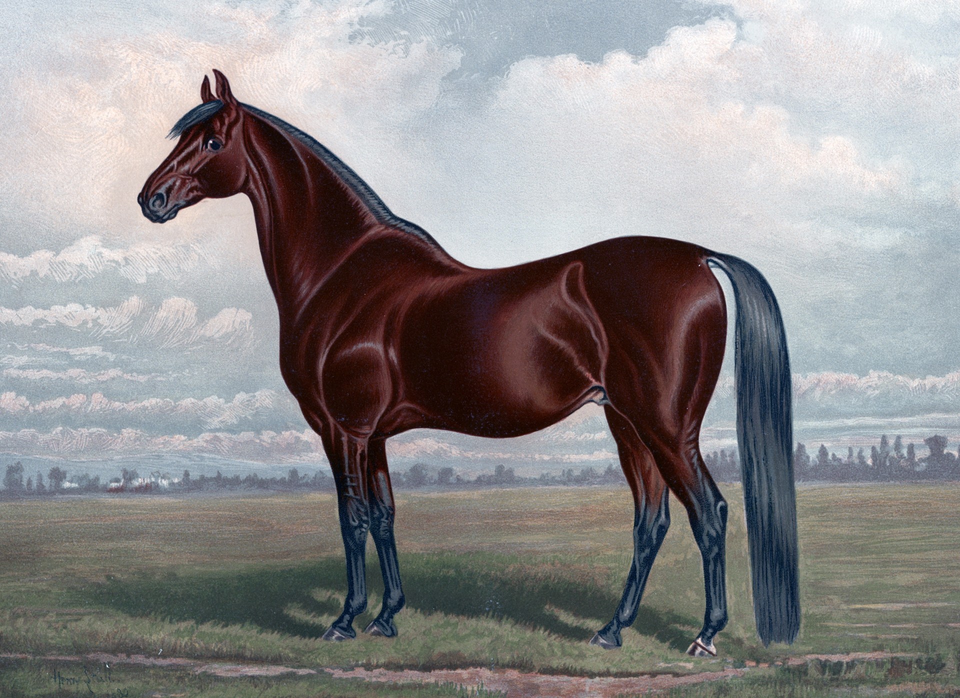 General 1920x1395 artwork horse animals mammals