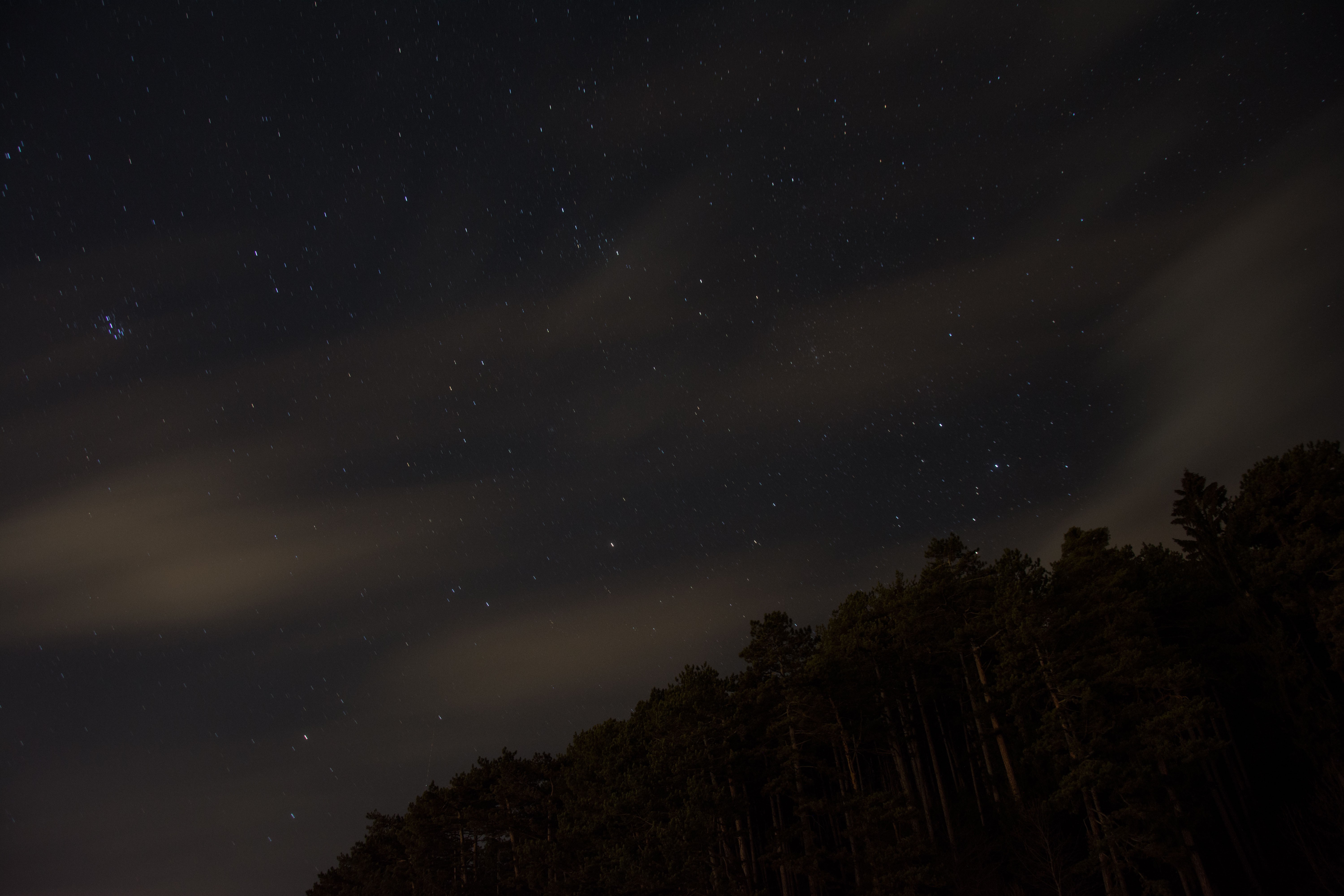 General 6000x4000 sky stars night trees looking up outdoors nature low light