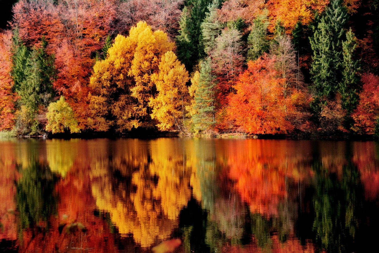 General 1500x1000 photography nature fall reflection lake forest colorful trees Austria water