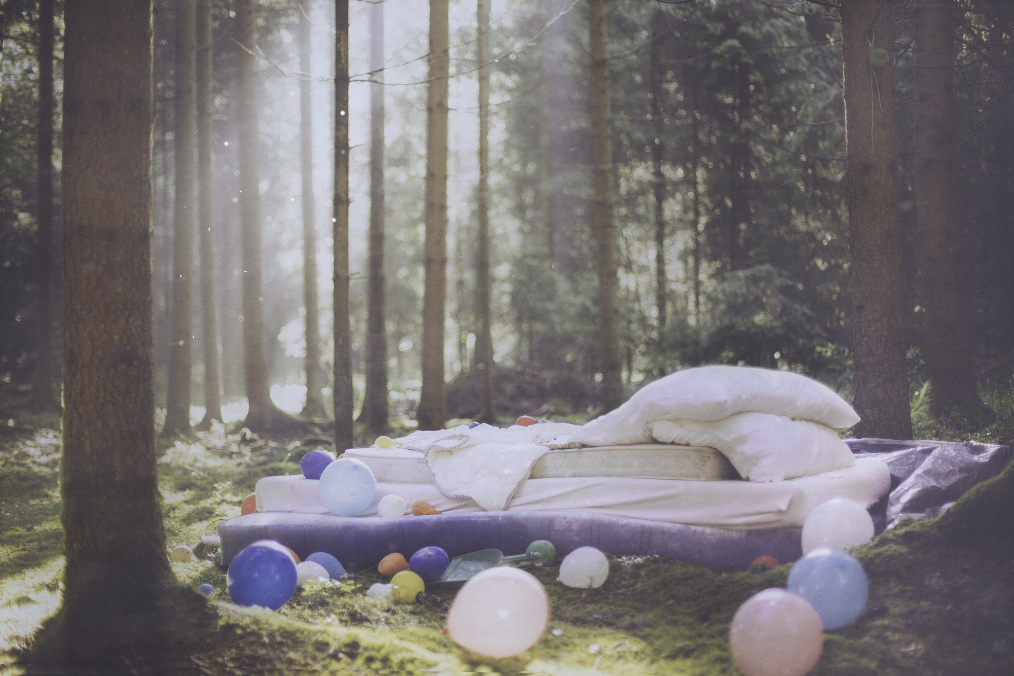 General 2000x1333 Hanna Fasching forest bed balloon