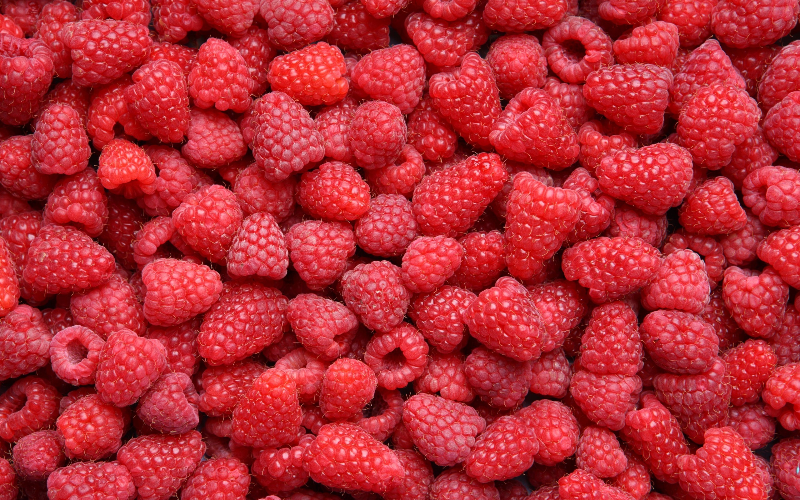 General 2560x1600 pattern fruit food red berries raspberries closeup
