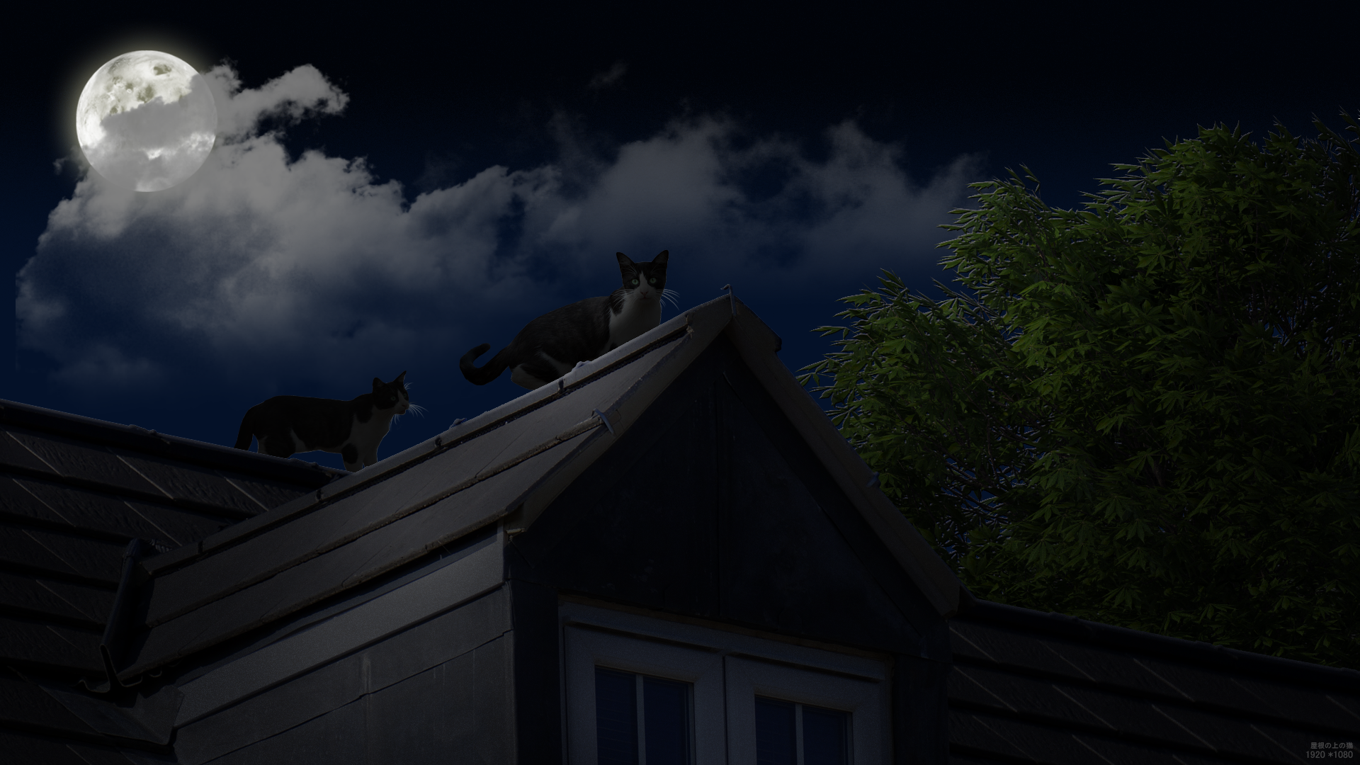General 1920x1080 cats dark rooftops Moon house night