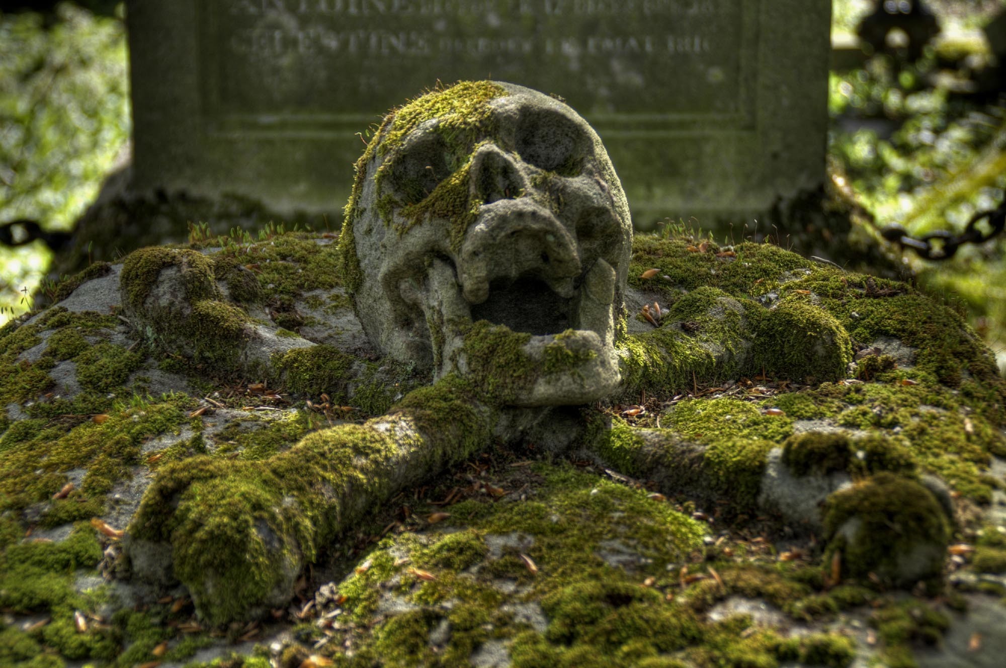 General 2000x1328 graveyards skull skull and bones moss tombstones