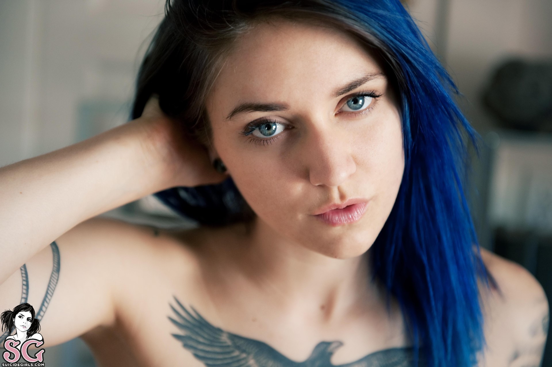 People 1920x1278 blue hair women Suicide Girls tattoo looking at viewer face Venom Suicide women indoors indoors closeup watermarked dyed hair inked girls blue eyes model