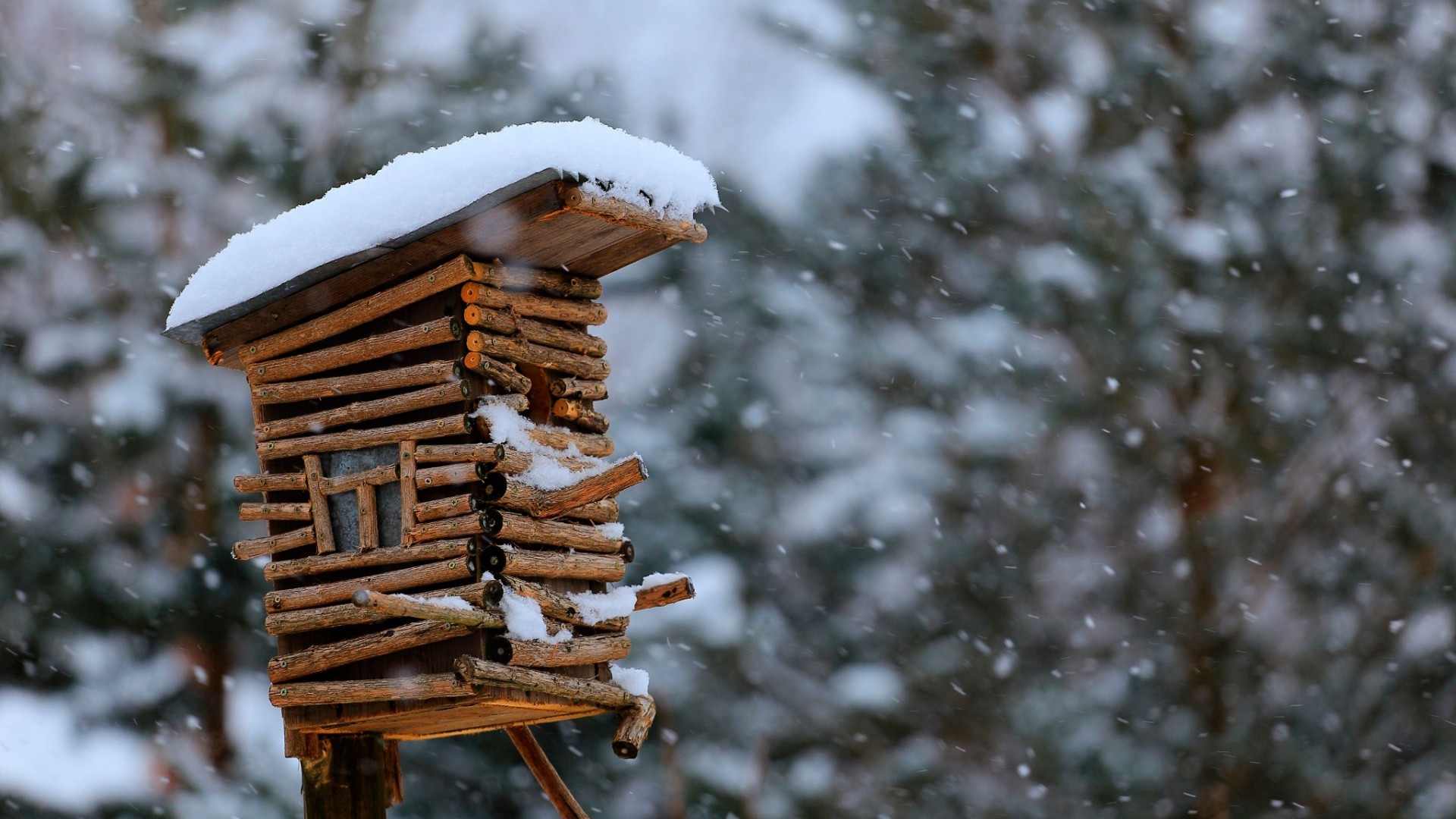 General 1920x1080 outdoors winter snow cold birdhouses