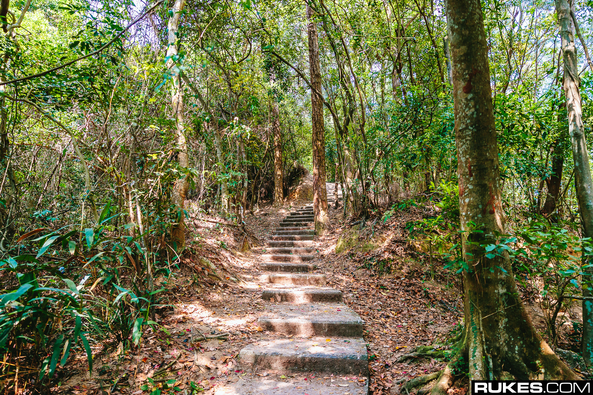 General 2048x1365 Rukes photography Hong Kong forest path stairs