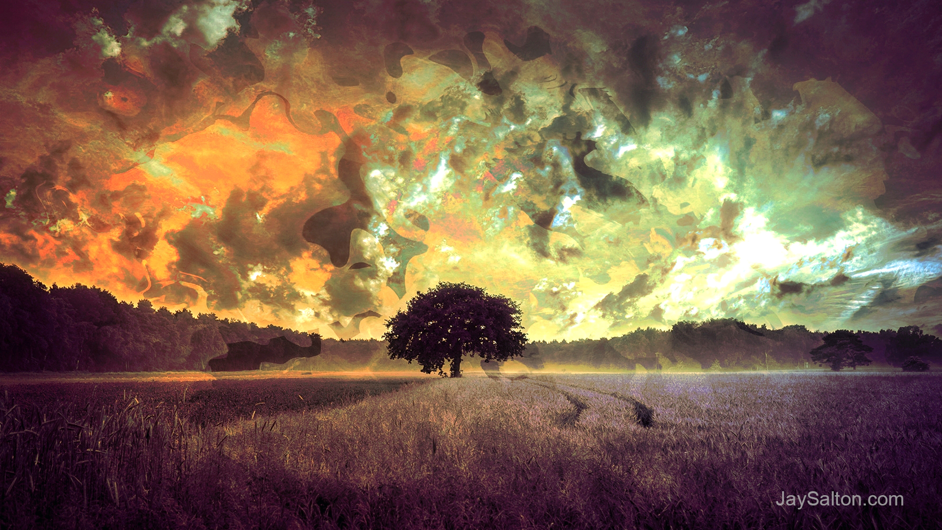 General 1920x1080 digital art 3D Abstract nature Harvest landscape surreal fantasy art sunset sunrise sky clouds dry grass field plants trippy psychedelic psychedelic rock LSD rave Agro (Plants)