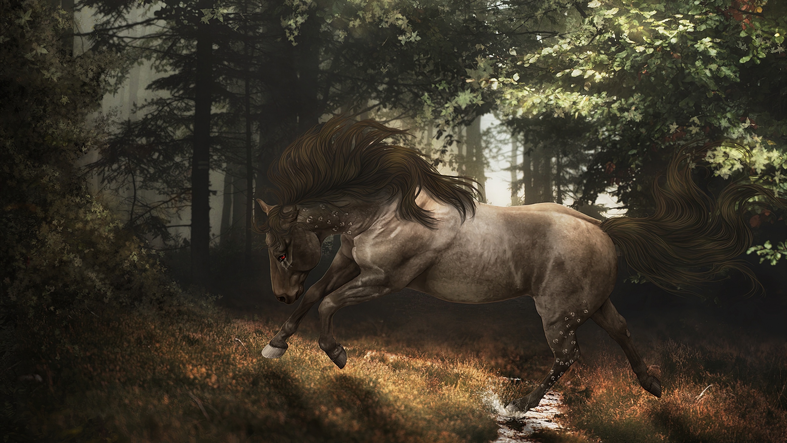 General 2560x1440 nature forest horse daylight artwork