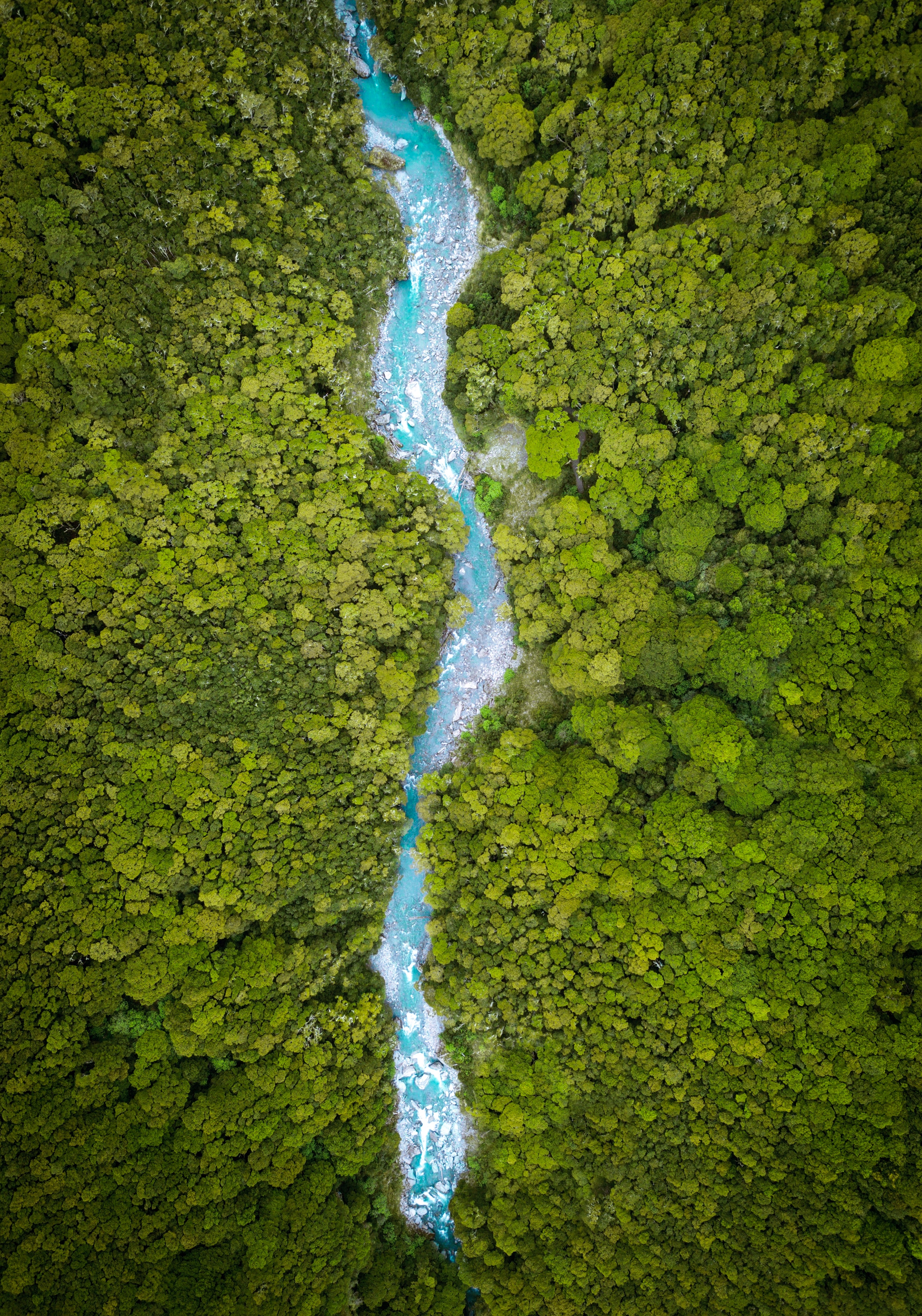 General 2796x3990 nature water landscape drone photo river forest