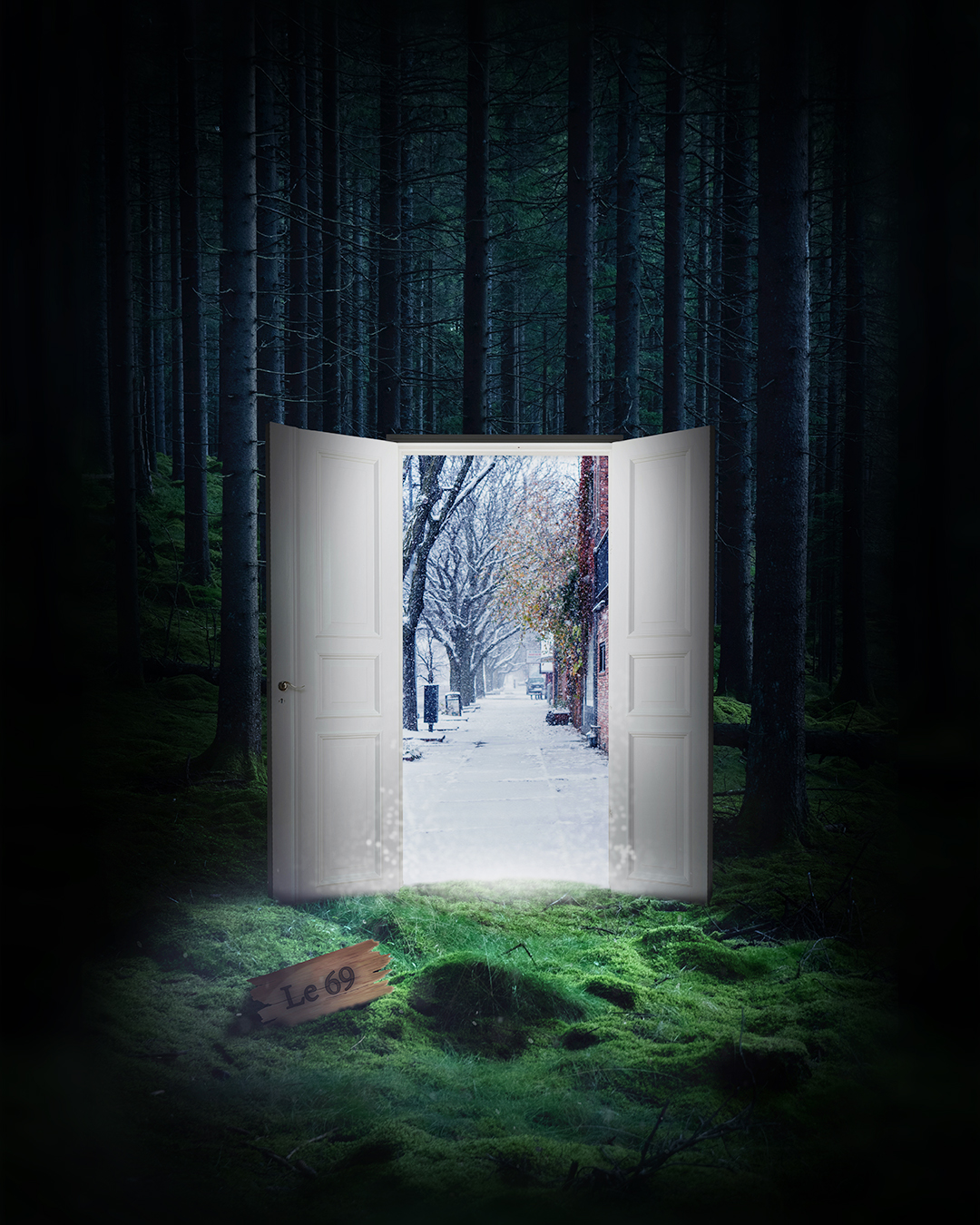 General 1080x1350 forest nature door street art photoshopped snow grass moss on the doorstep night photo manipulation tree trunk trees pine trees house winter