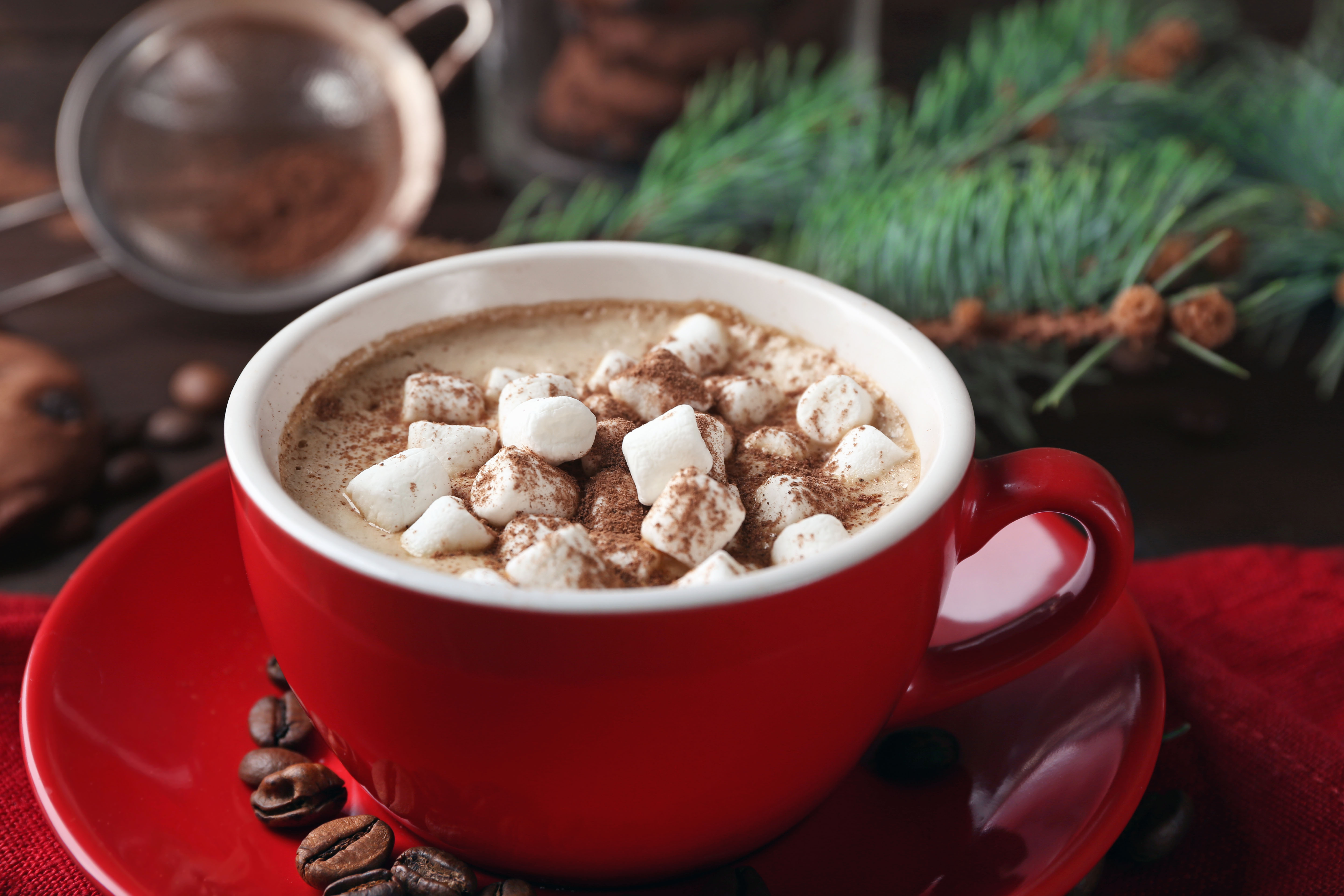 General 5760x3840 Hot Cocoa marshmallows coffee beans cup closeup