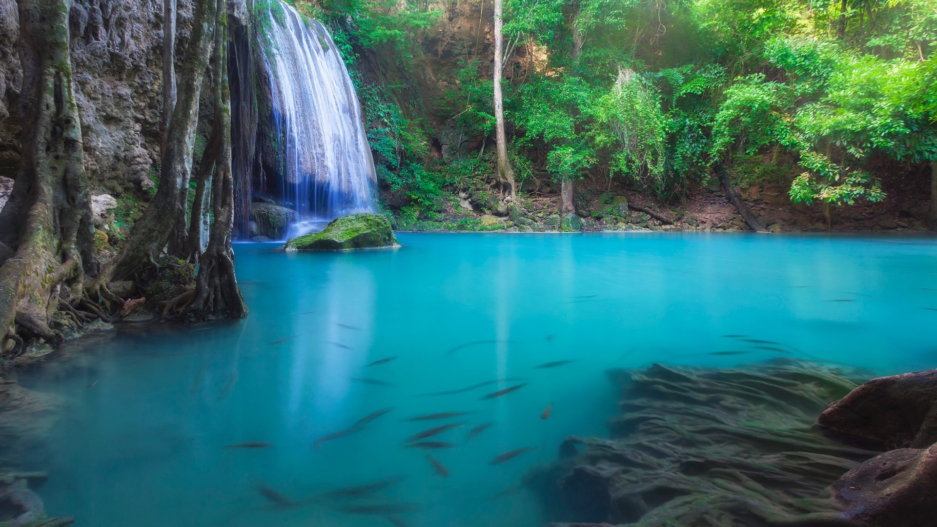 General 1920x1080 nature landscape waterfall fish clear water long exposure trees water rocks algae pond Thailand