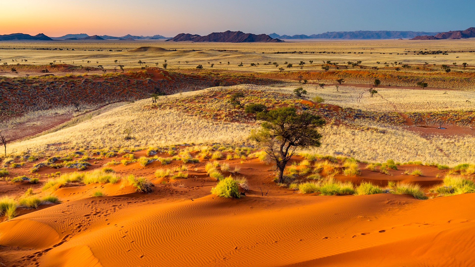 General 1920x1080 nature landscape mountains plants trees sand desert dunes sunset Namibia savannah