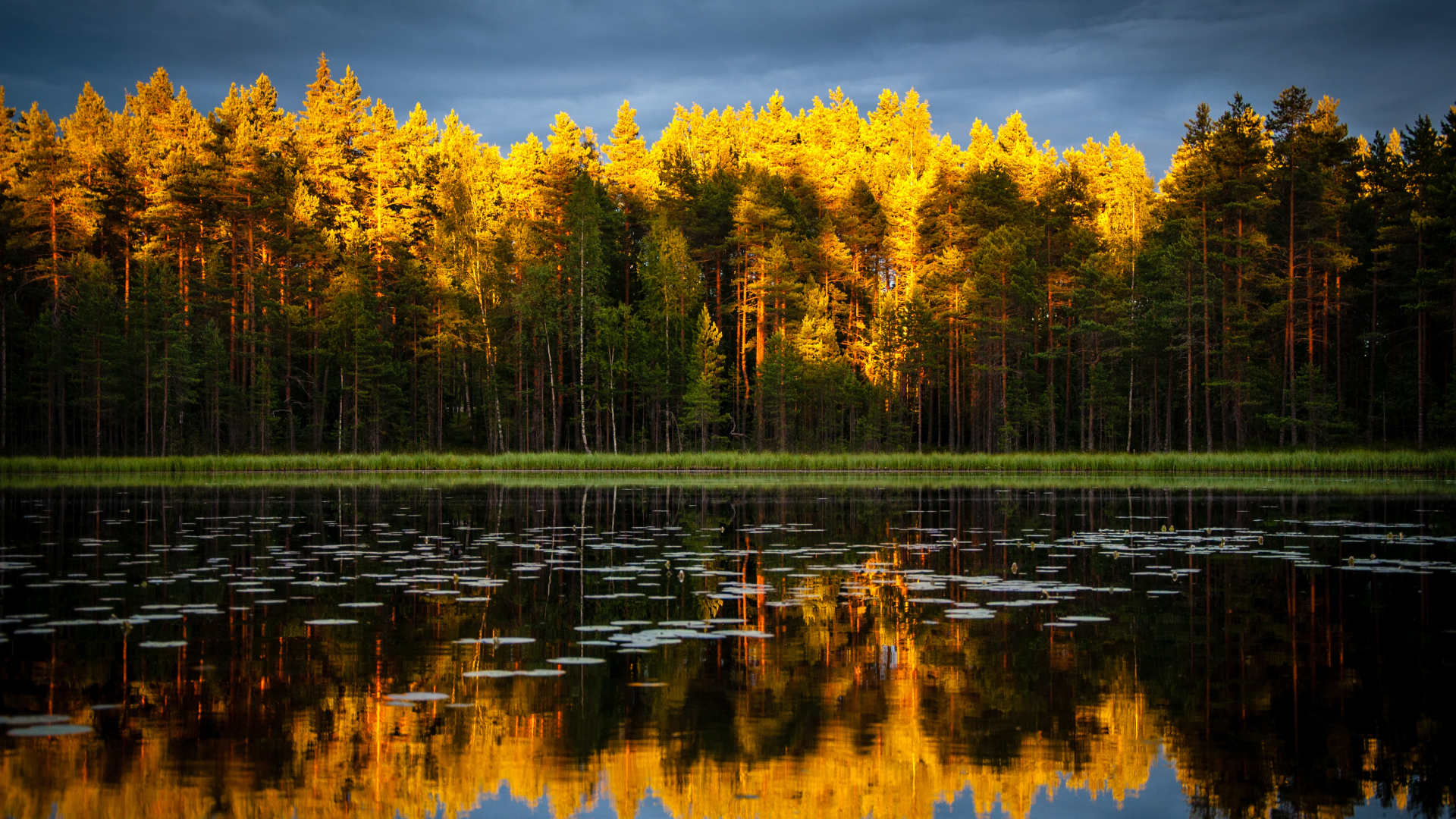 General 1920x1080 nature trees lake clouds sunset sunlight forest reflection