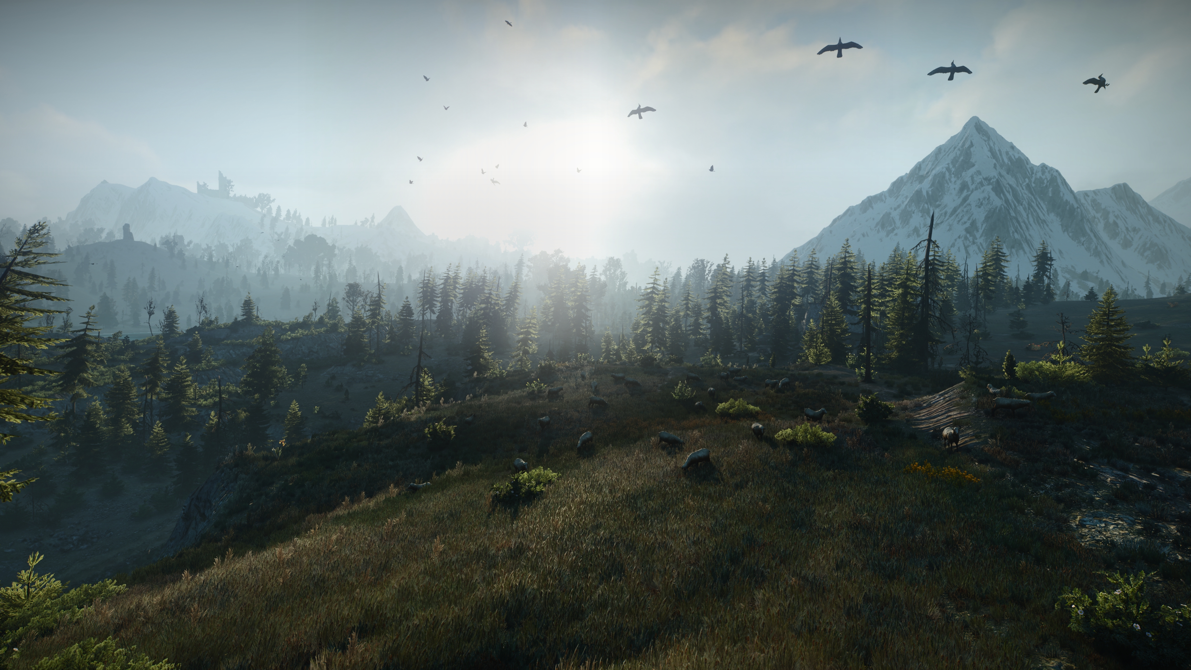 General 3840x2160 The Witcher The Witcher 3: Wild Hunt Skellige