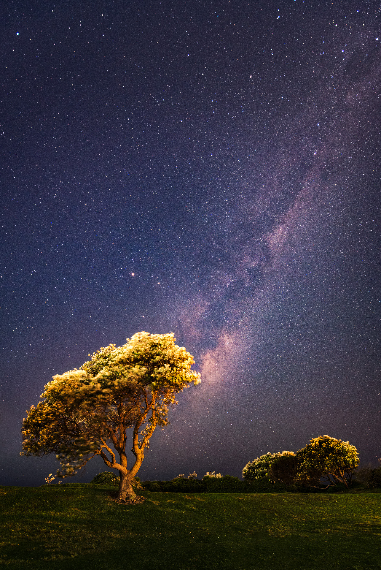 General 1285x1920 Australia Sydney Milky Way stars portrait display night