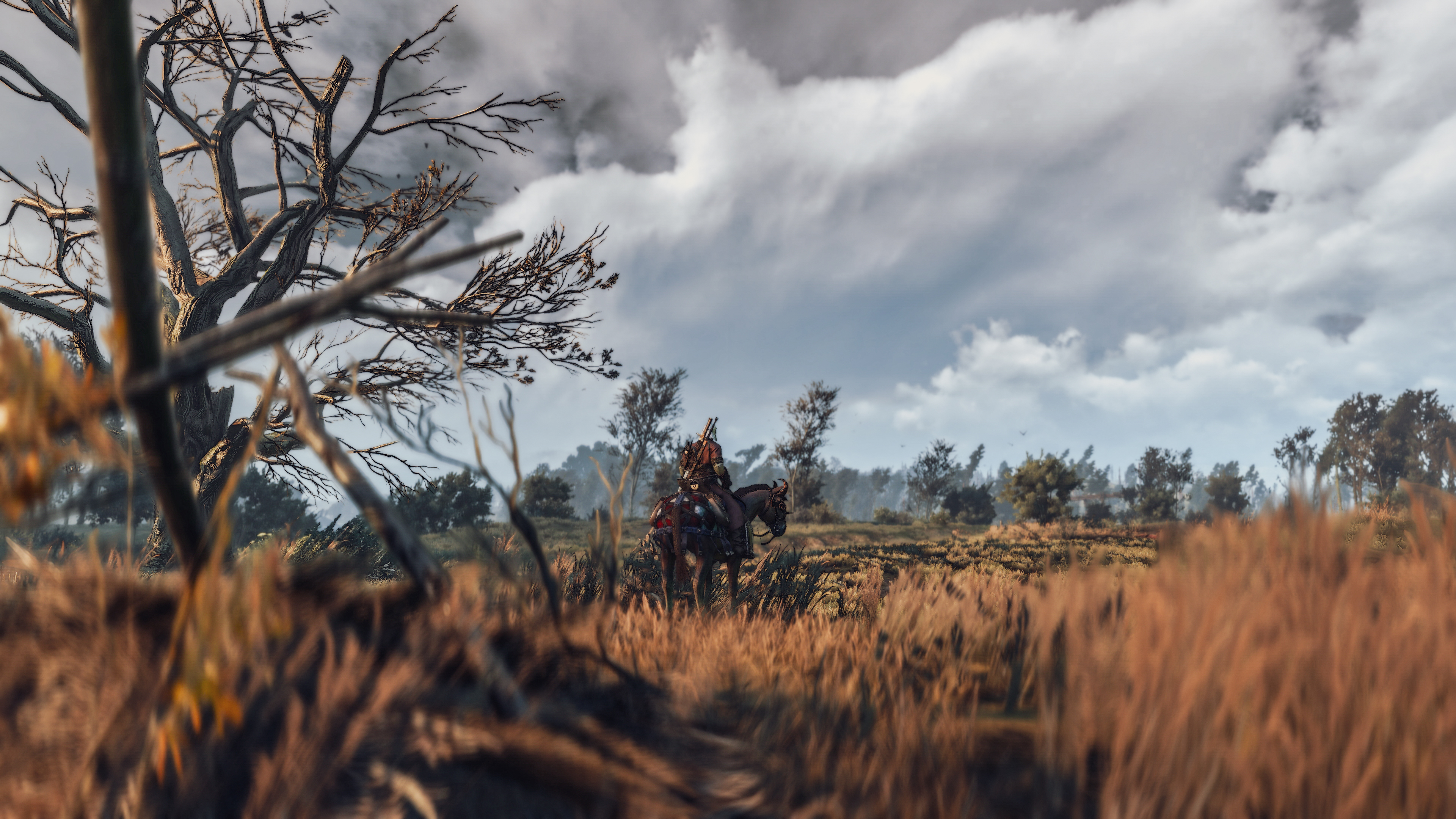 General 3840x2160 The Witcher 3: Wild Hunt PC gaming video games screen shot