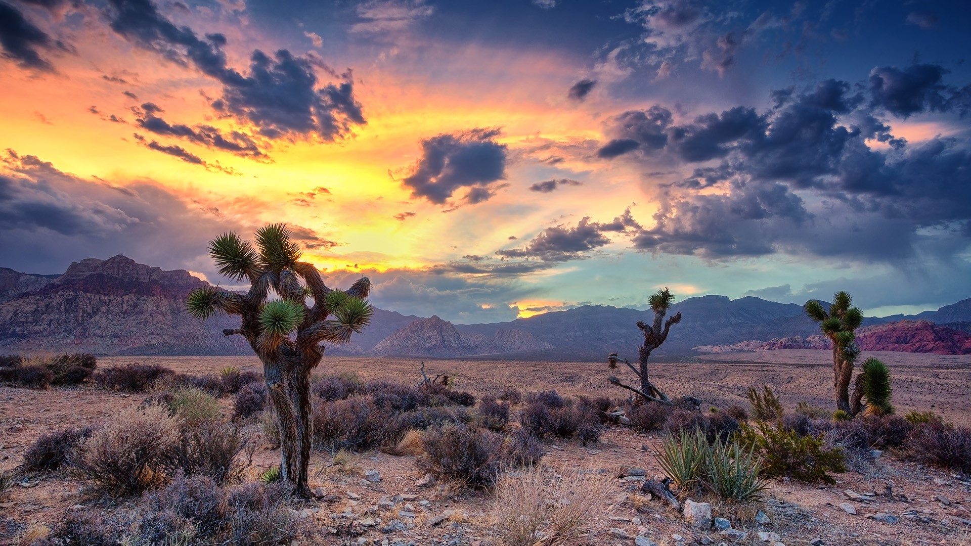 General 1920x1080 nature landscape trees mountains desert rocks cactus clouds sky sunset canyon Las Vegas Nevada USA