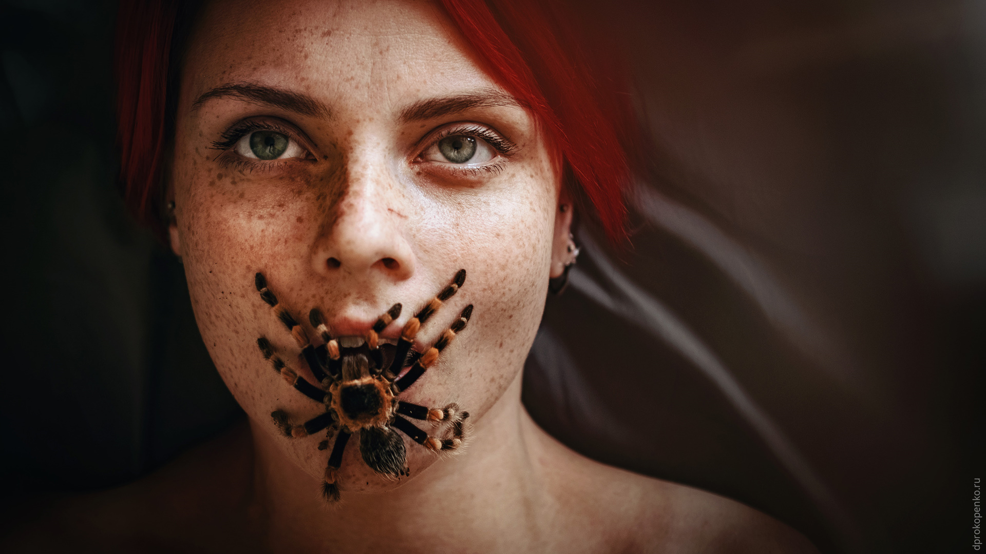 People 1920x1080 face spider redhead freckles animals portrait tarantula women